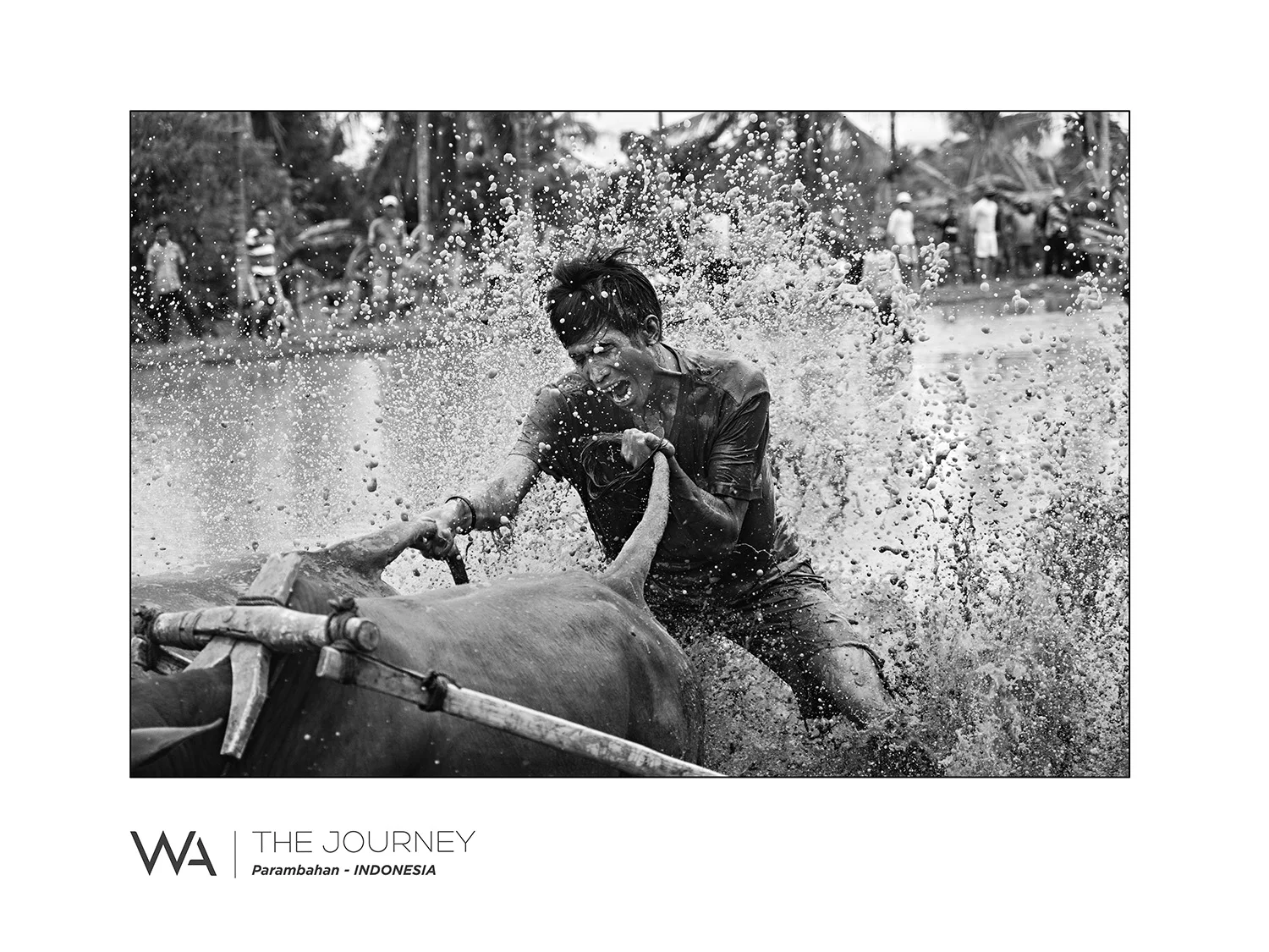 Posters 30x40 cms-033.jpg