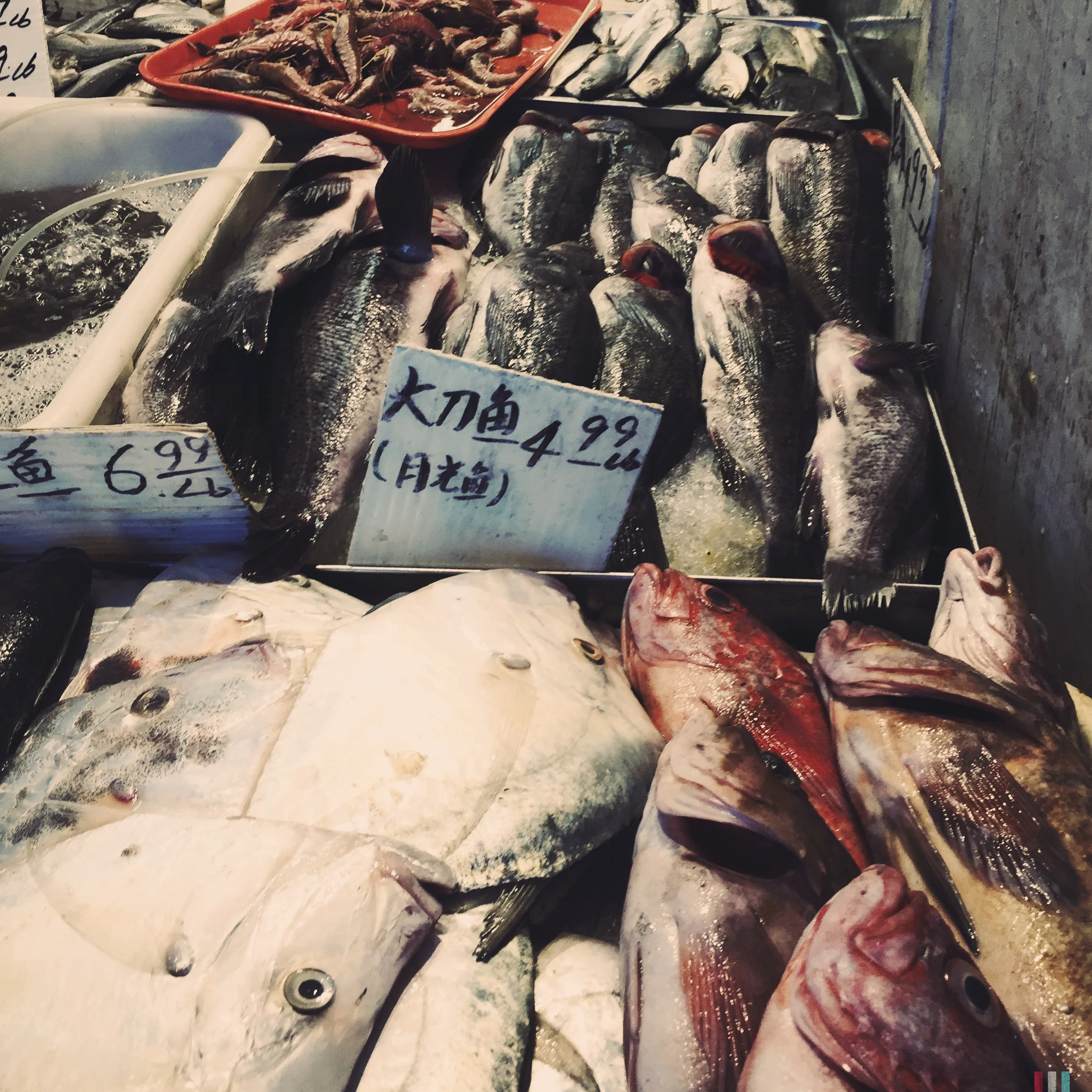 street side chinatown fish market