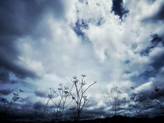 THE OTHER DAY

#inthemoment #shotoniphone #shootermag #mobilephotography #myspc #sky #dramatic #clouds #cloudscape #natgeoyourshot #natgeo
