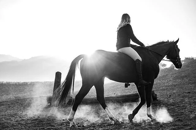 COMING AROUND

#horseriding #horse #bnw #bnwphotography #bw #bw_photo #myspc #shootermag #nikonphotography #nikon #nikonusa #nikondf #blackandwhite #natgeoyourshot #afternoon #portraitphotography #portrait #animal #rider #sunset