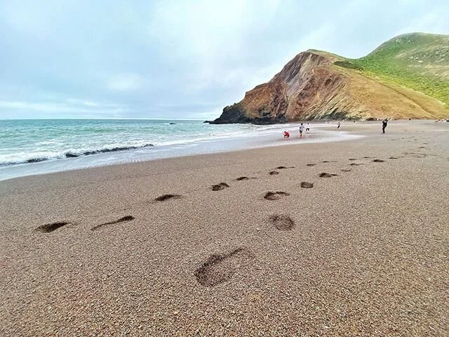 FOOTSTEPS AT TENNESSEE VALLEY

#beach #tennesseevalley #marin #norcal #sand #shootermag #mobilephotography #myspc #natgeoyourshot #natgeo #natgeotravel #landscapephotography #landscape #shotoniphone #hike #weekend #getaway #peaceful #beautiful