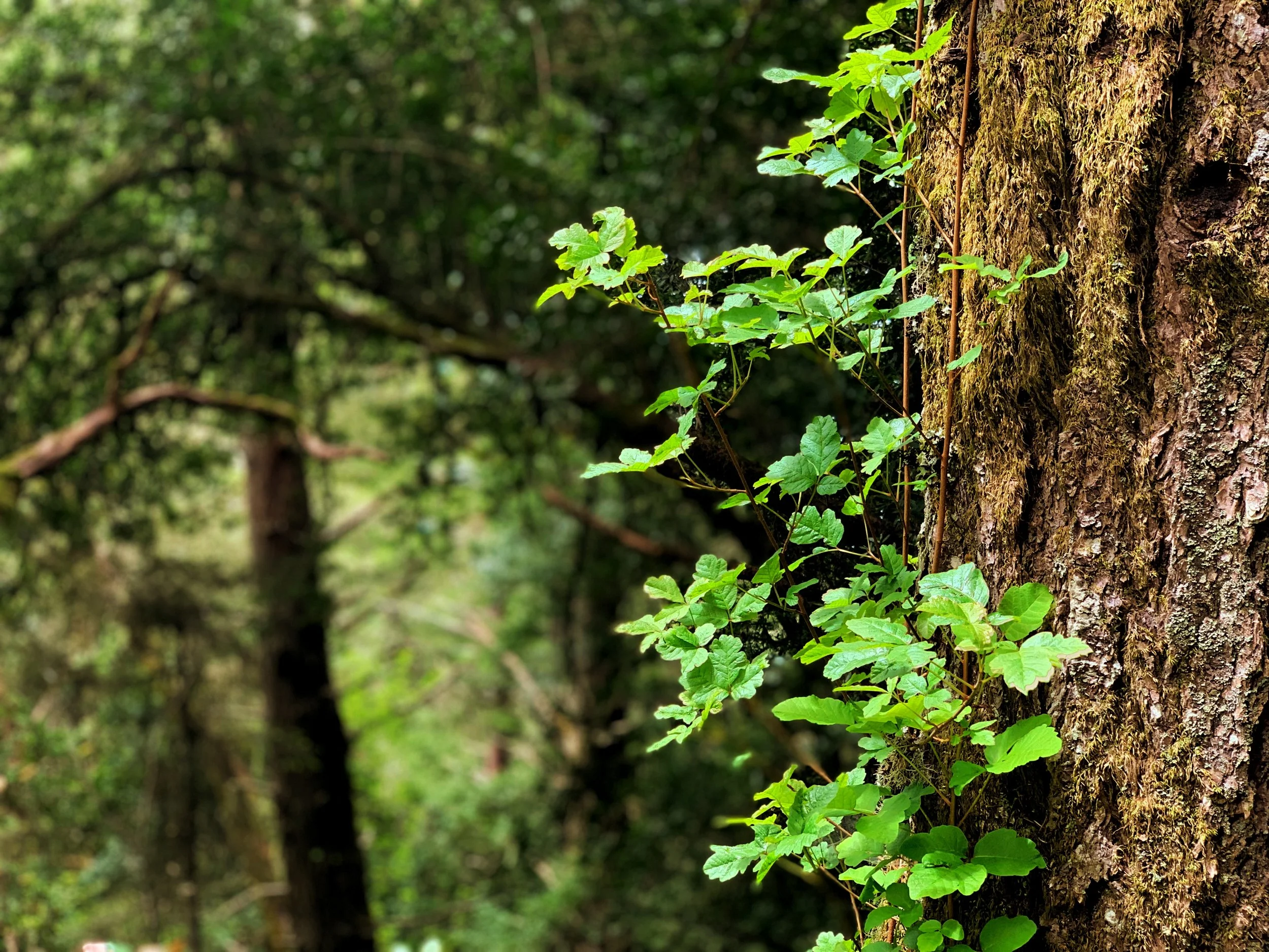 FullSizeRender (1).jpg