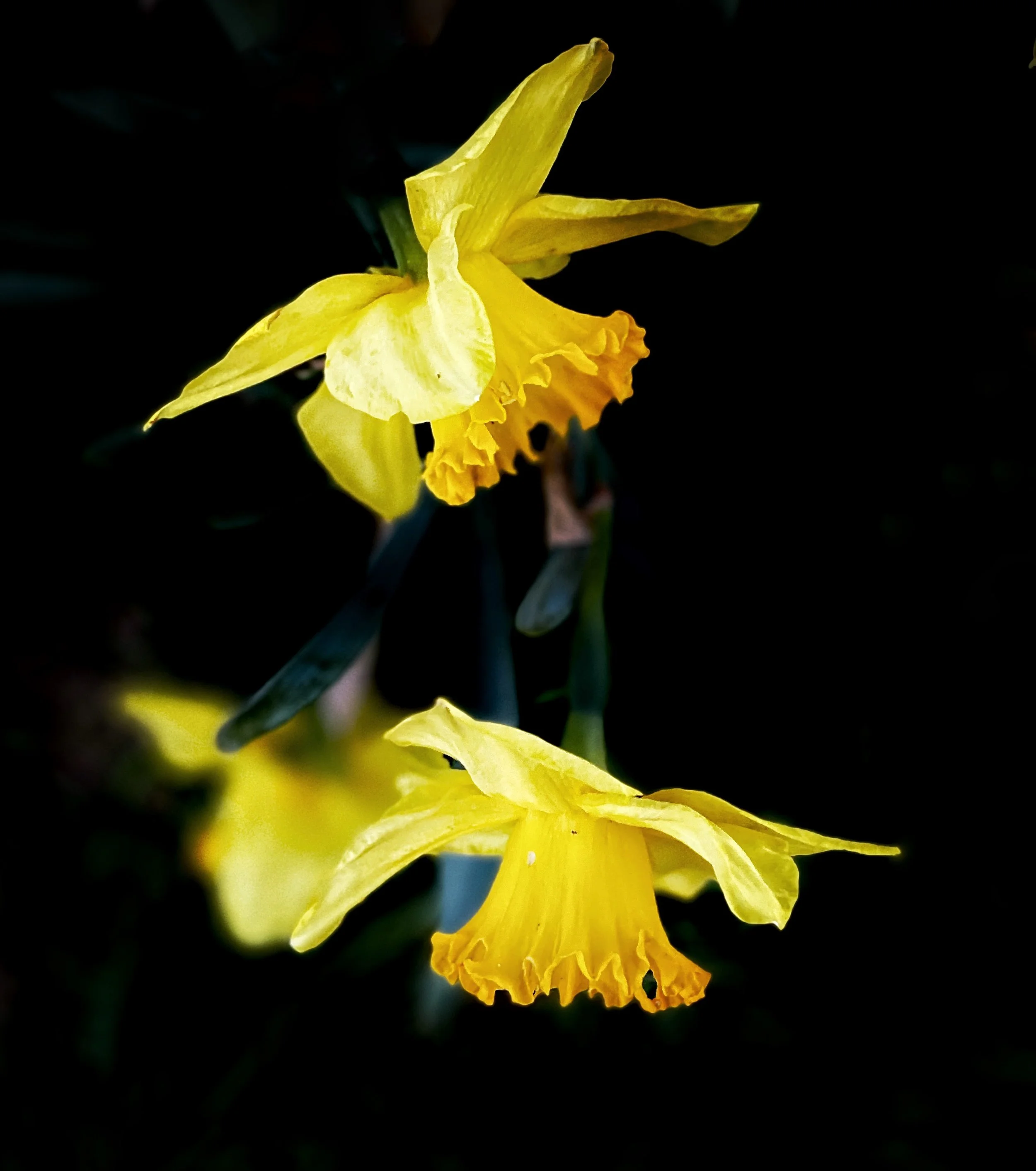 FullSizeRender (2).jpg