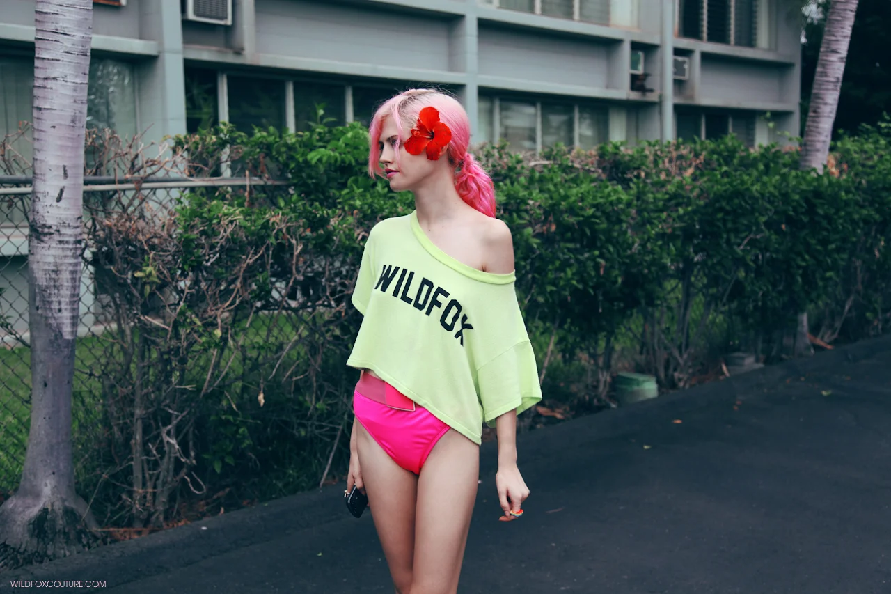 PageImage-503371-2988134-Wildfox14.jpg