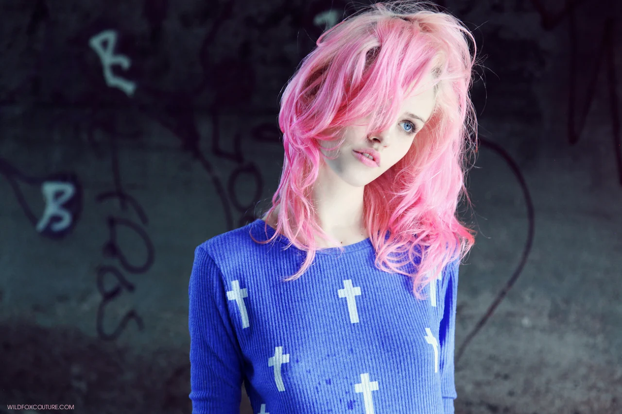 PageImage-503371-2988154-Wildfox33.jpg