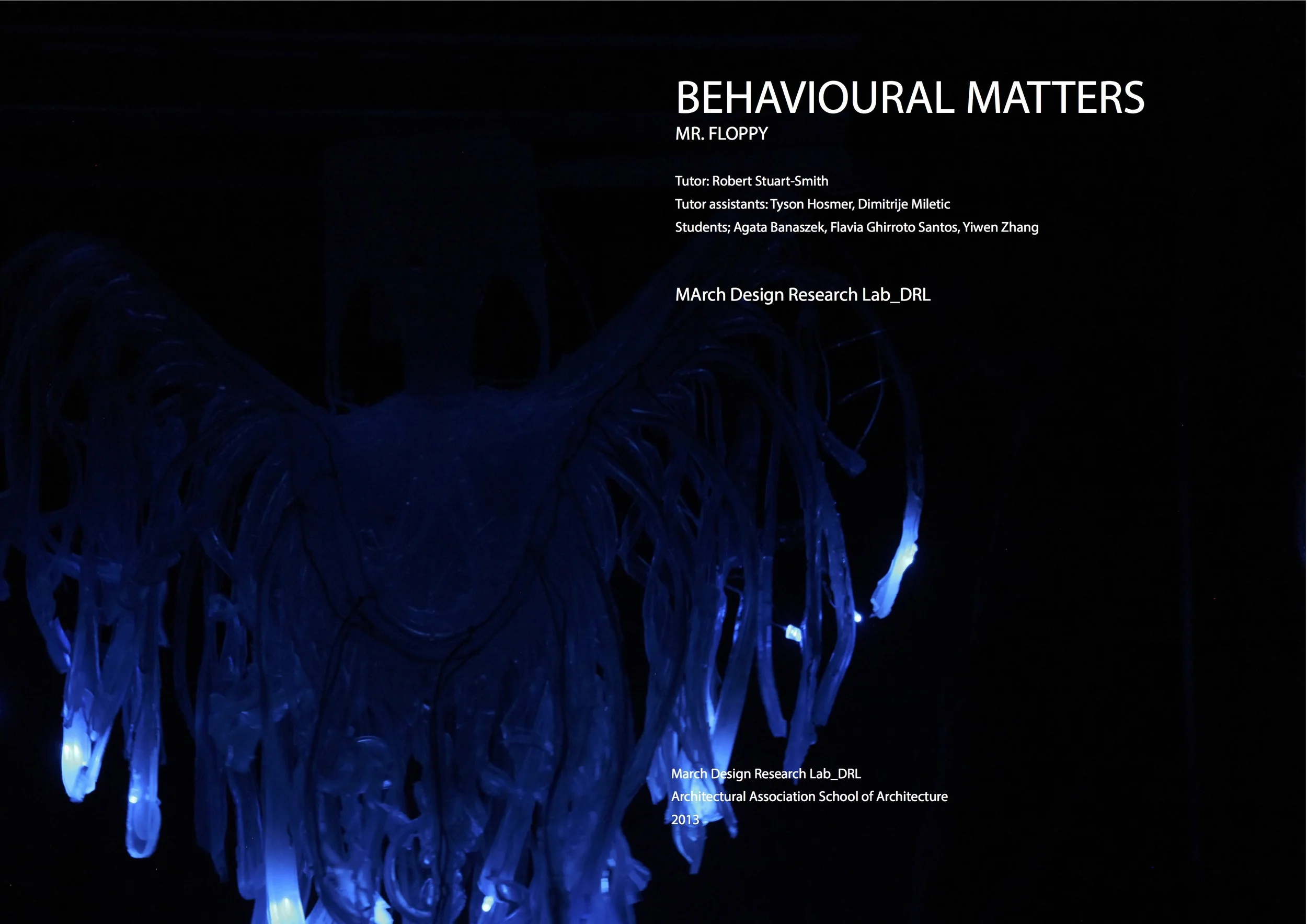 booklet1B.jpg