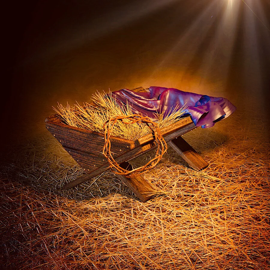 Alpha &amp; Omega HD