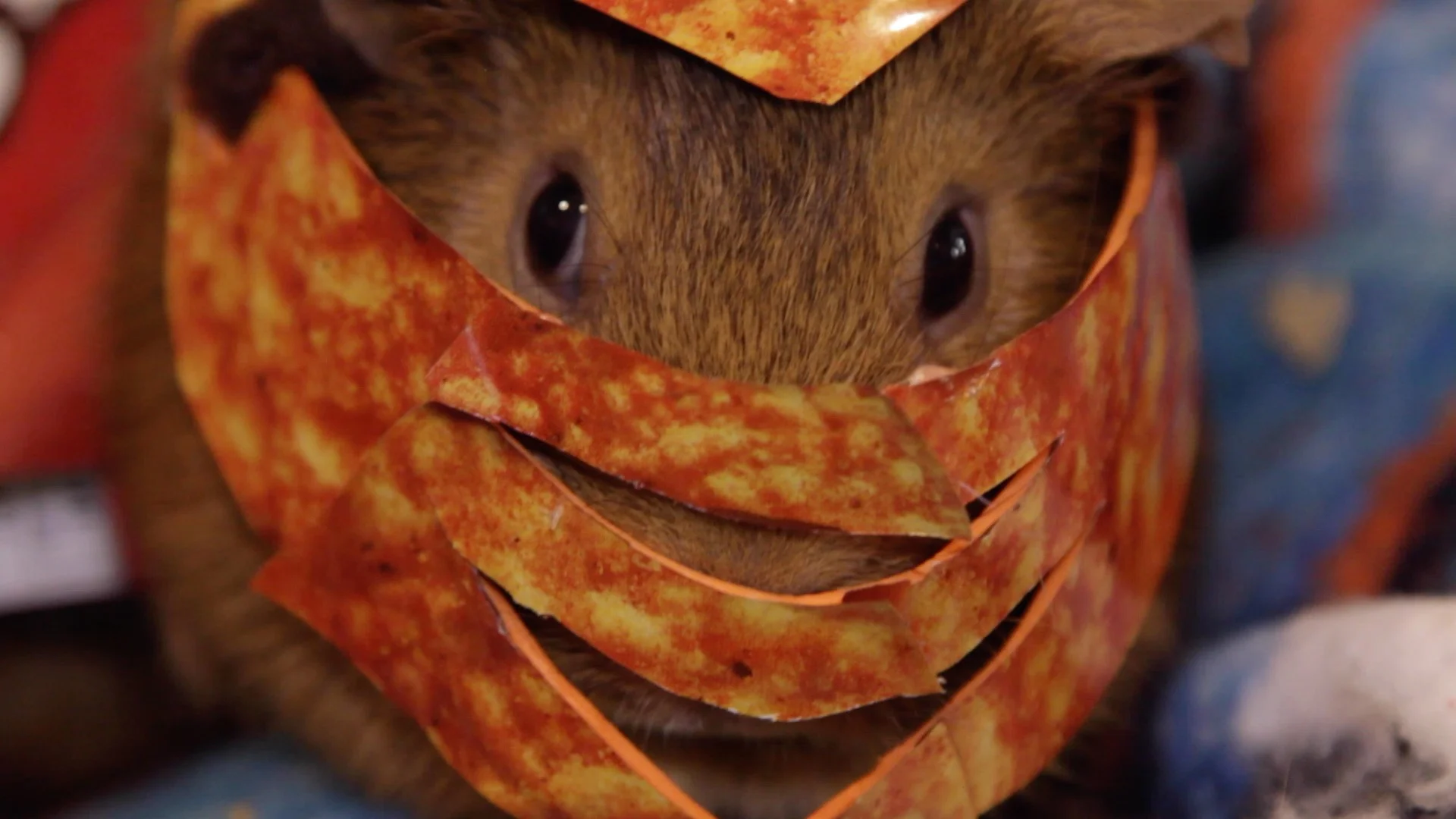 Doritos Commerical 2015 03.jpg
