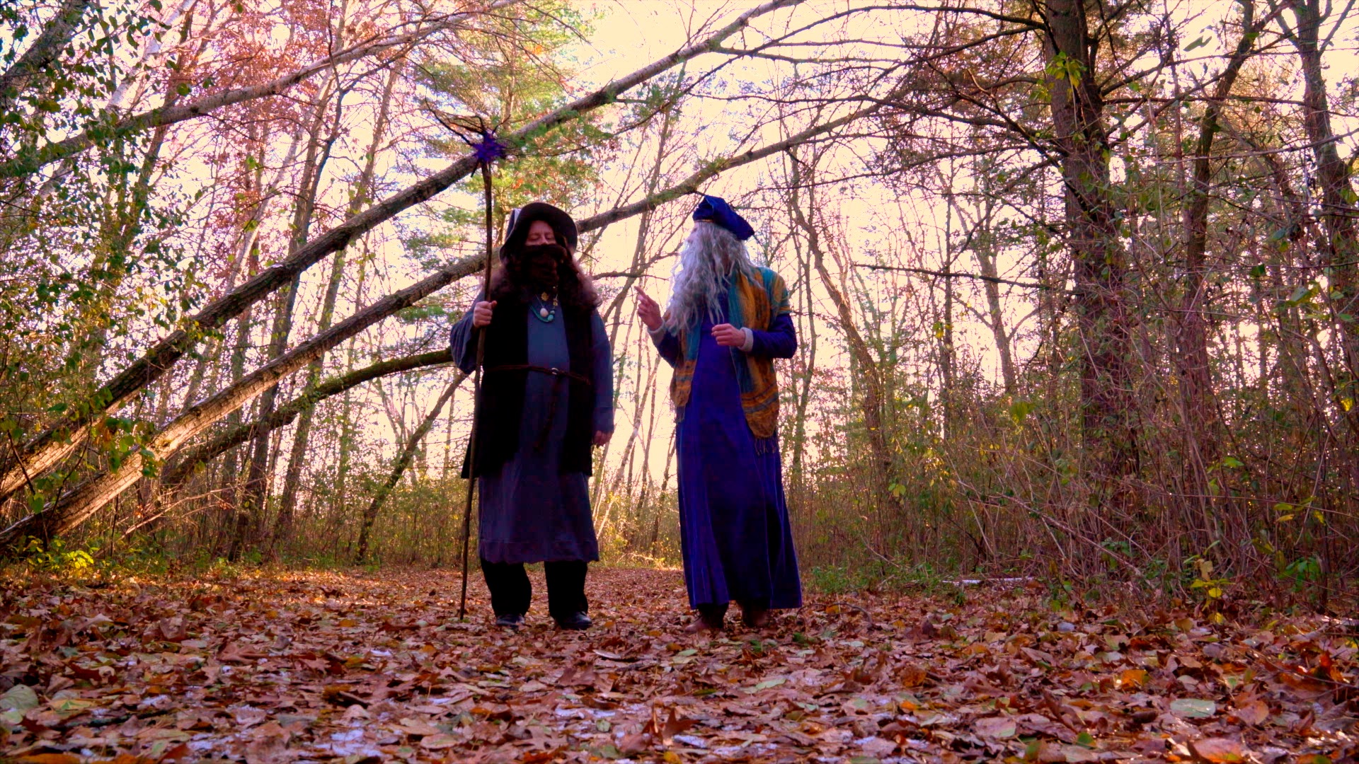 Wizards - Still 24.jpg