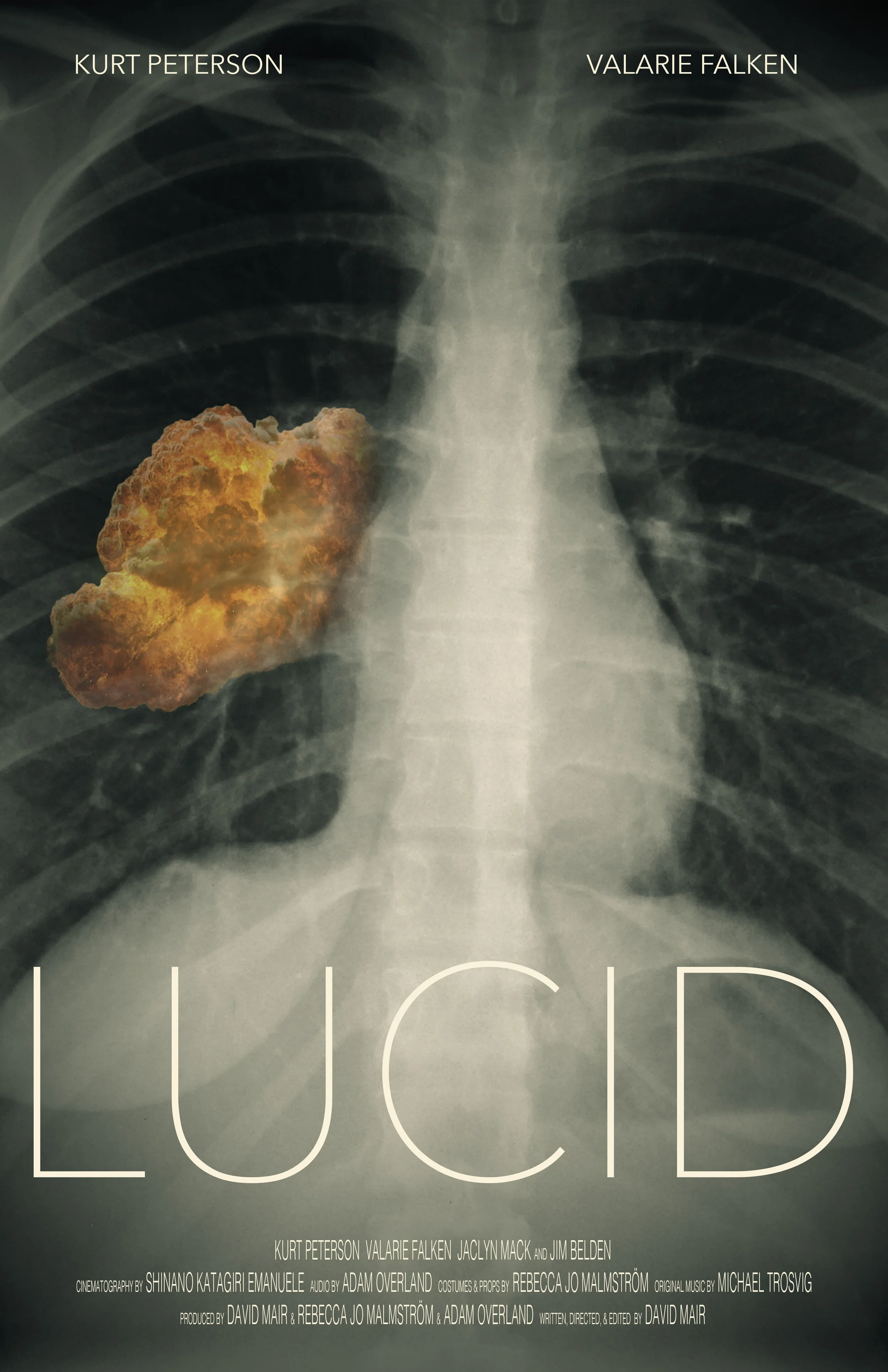 Lucid Poster 11x17 - Alternate.jpg