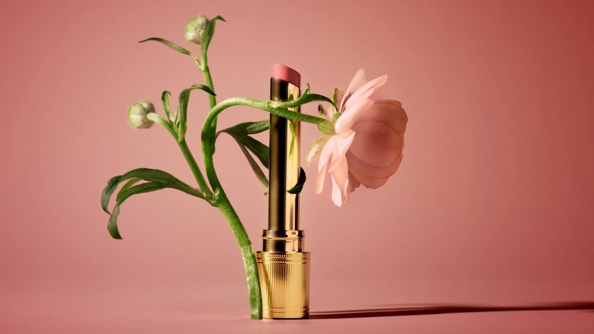 GUCCI 'LIPSTICK' / Suzanne Saroff