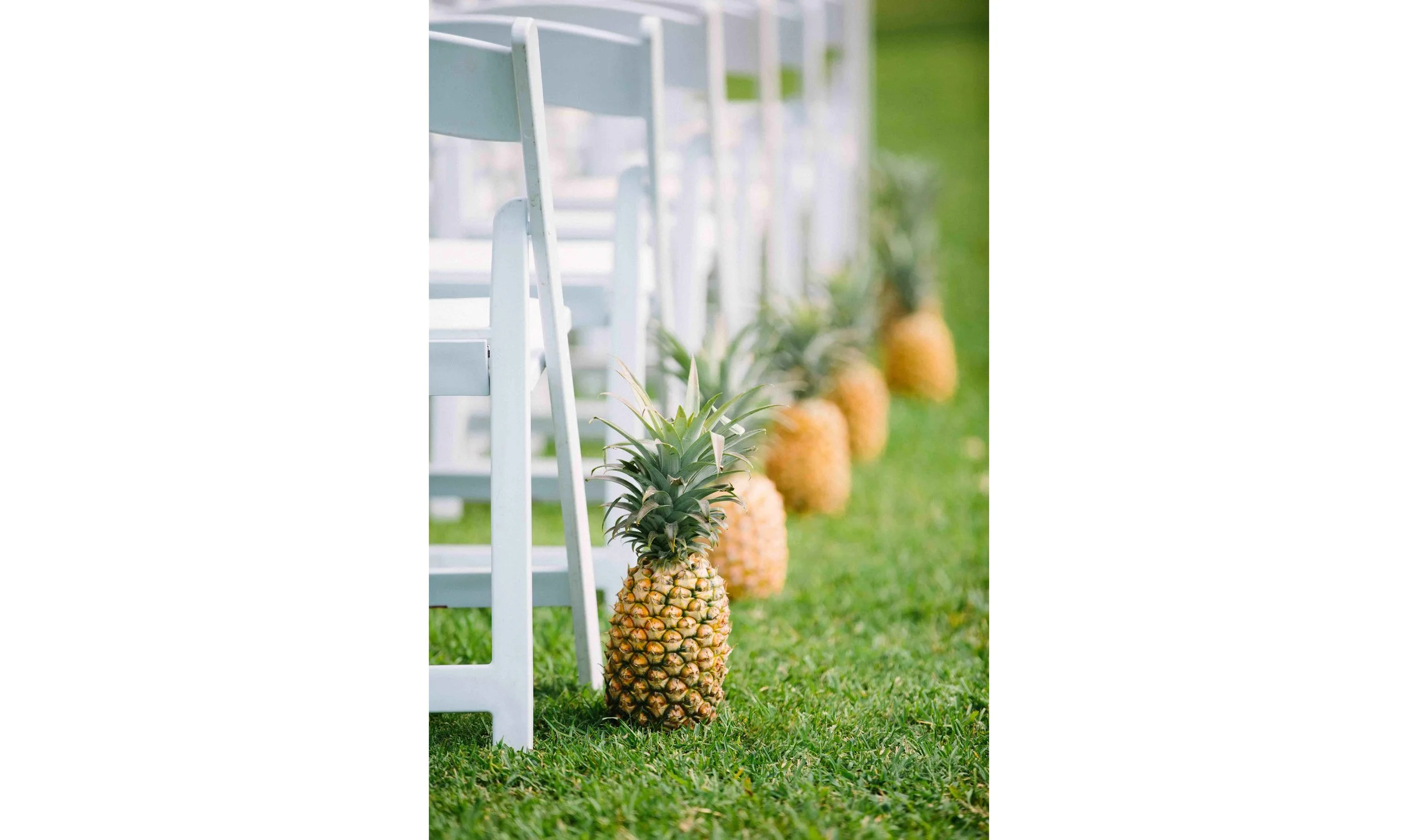 Pineapple Ceremony Hawaii Wedding Photography
