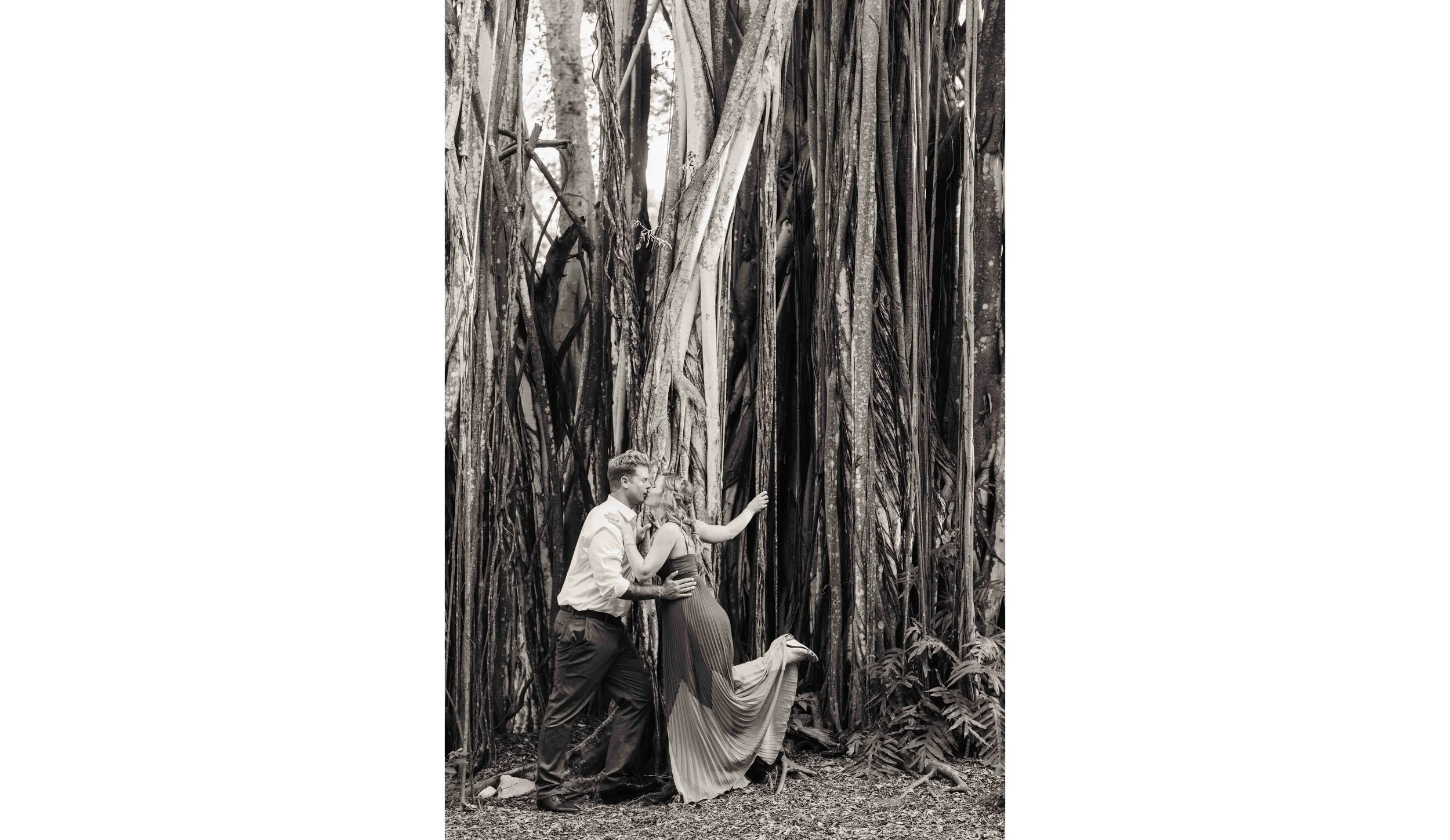 Playing In The Trees