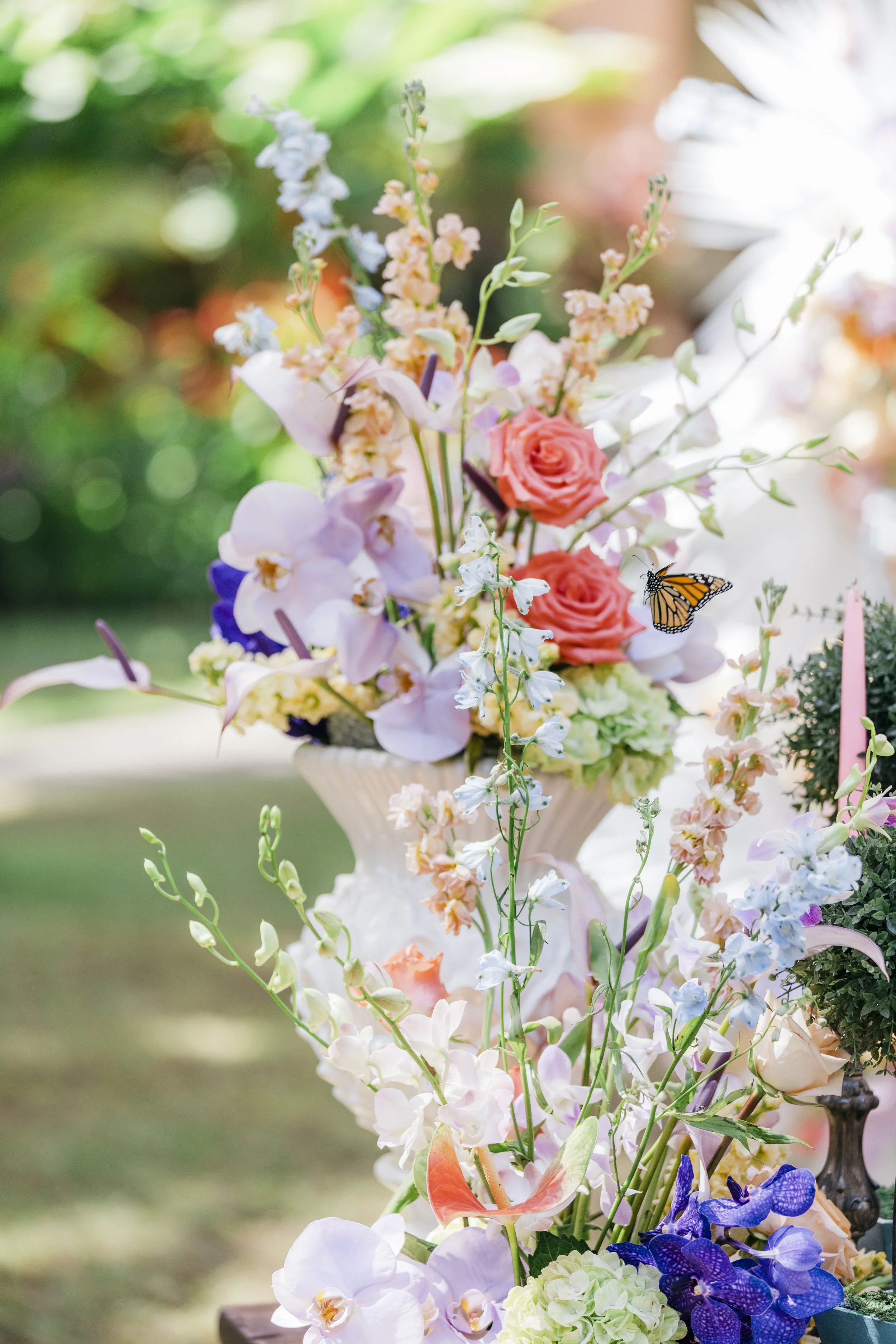 AbsolutelyLoved-3484.jpg
