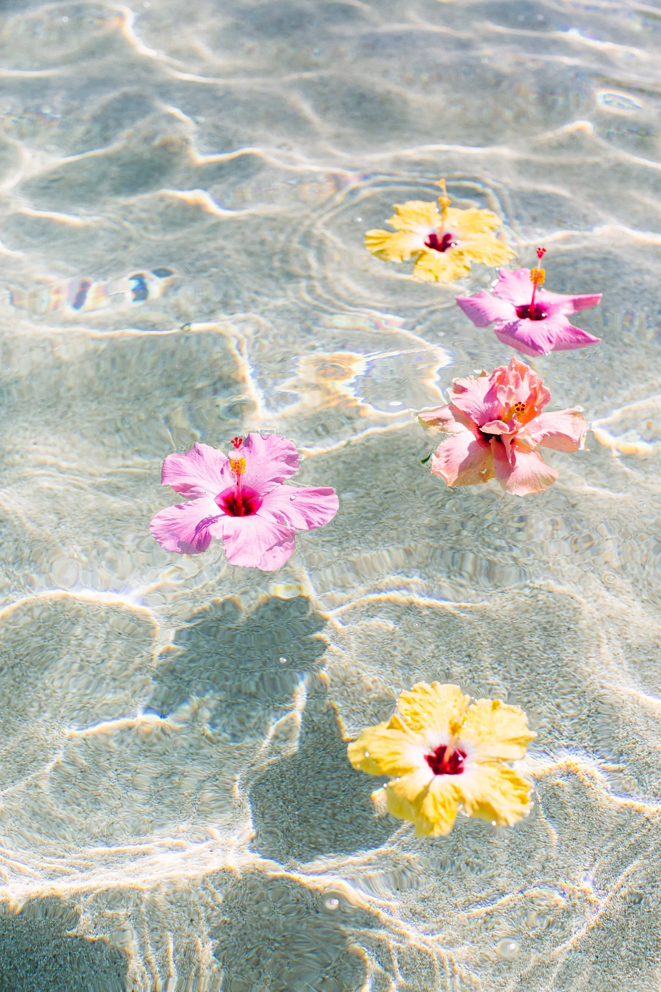 Tropical-Hawaii-Photography-5487-2.jpg