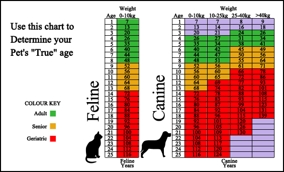 Cat Size Chart By Age