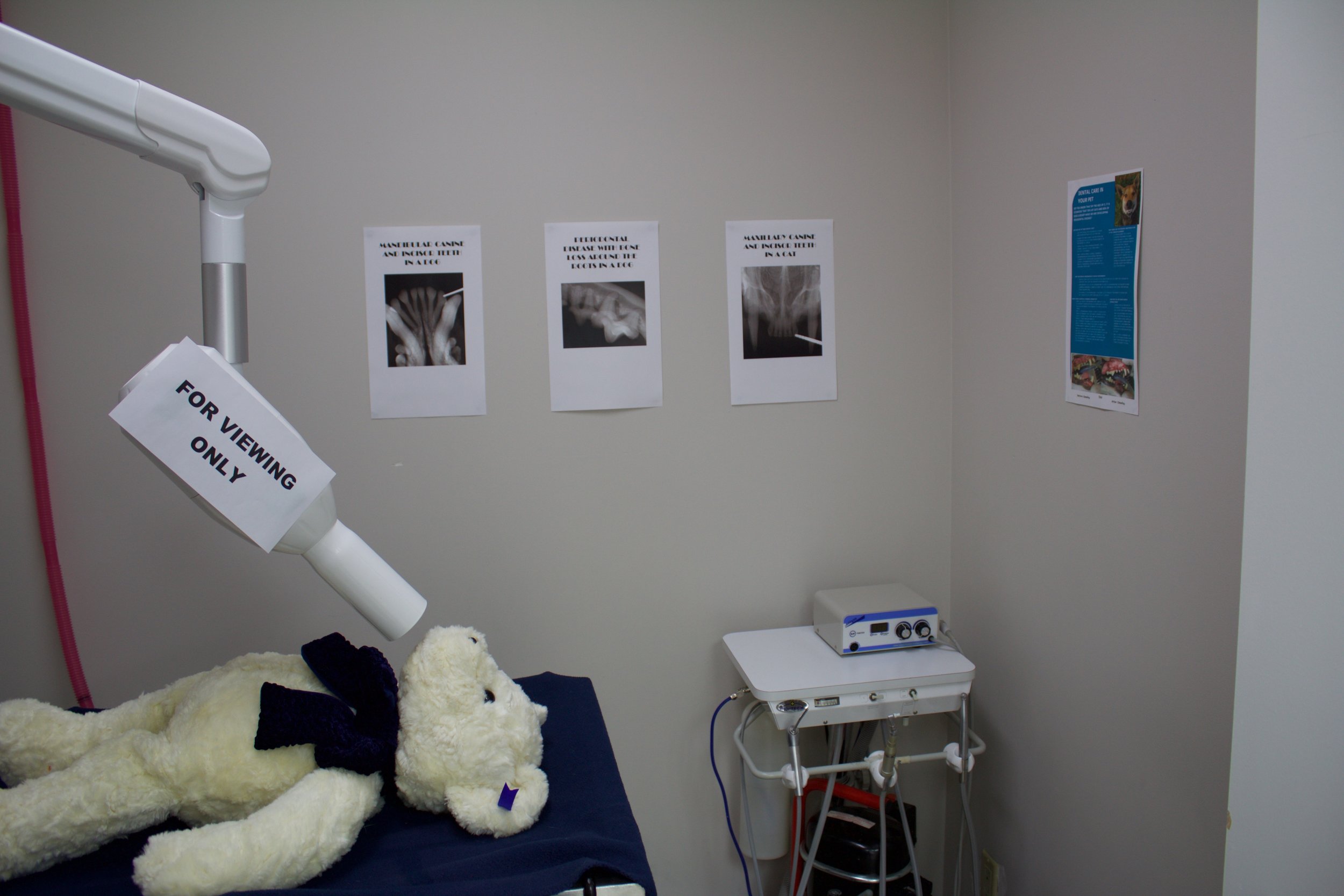 Dental Room & Dental Radiology Display