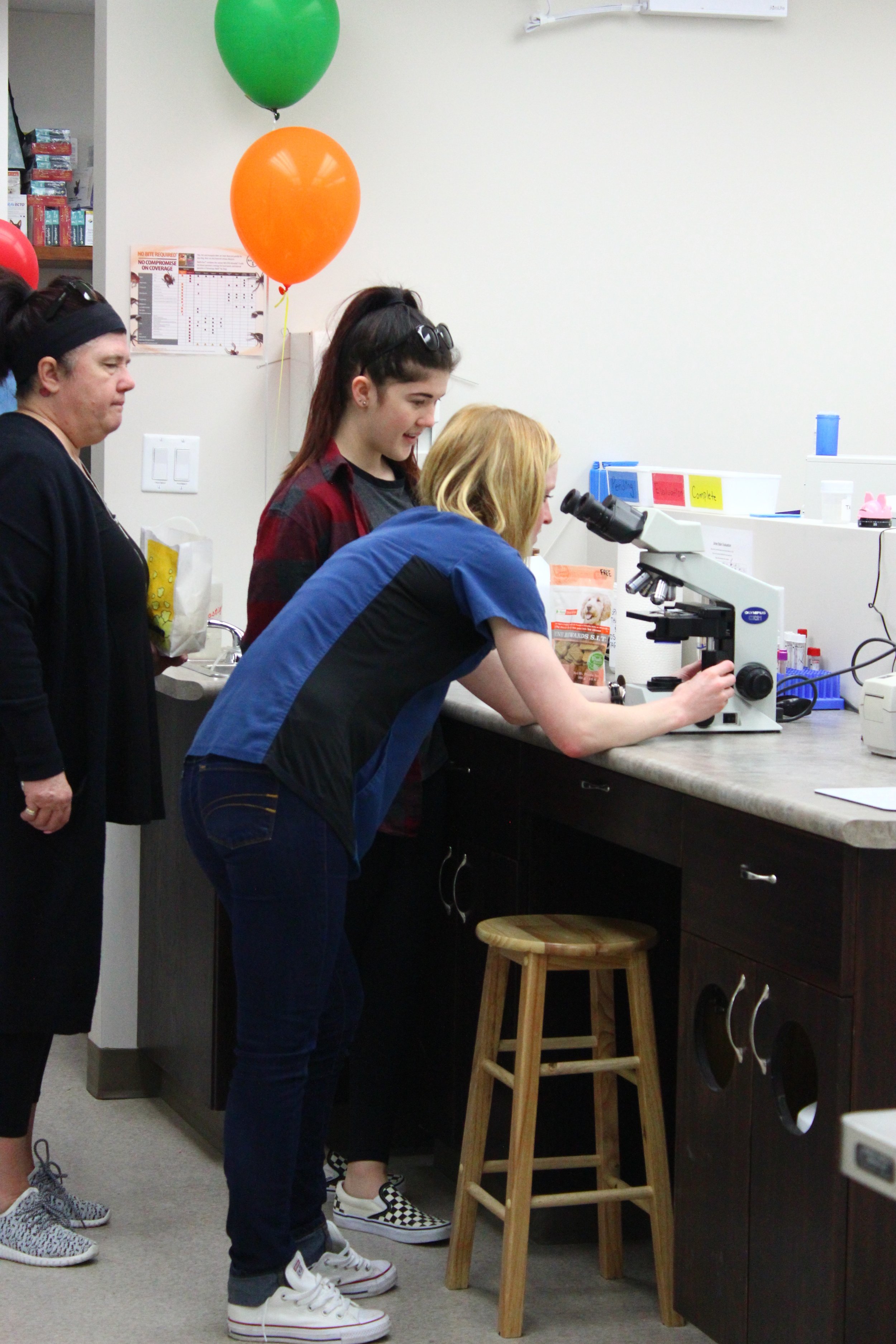 Our Registered Veterinary Technologist, Callie Showing Visitors Neat Slide's Under Our Microscope 