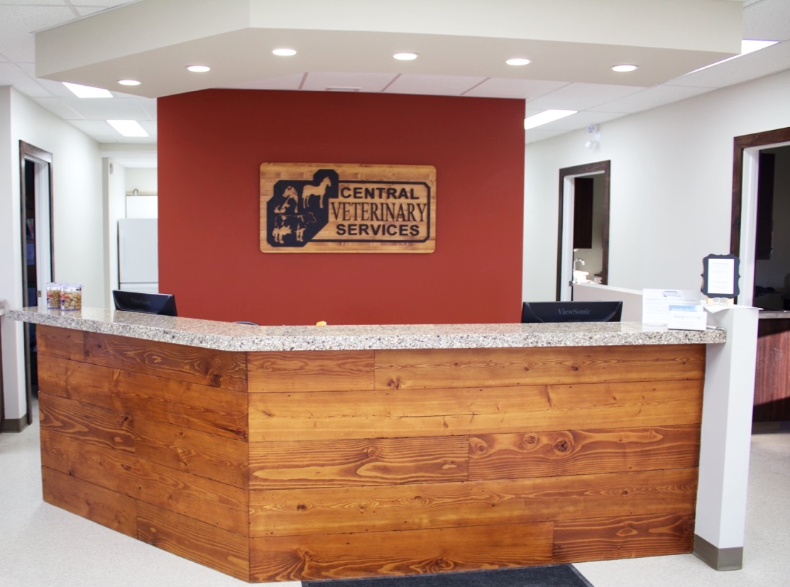 Reception Desk