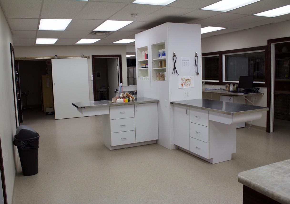 Treatment Area