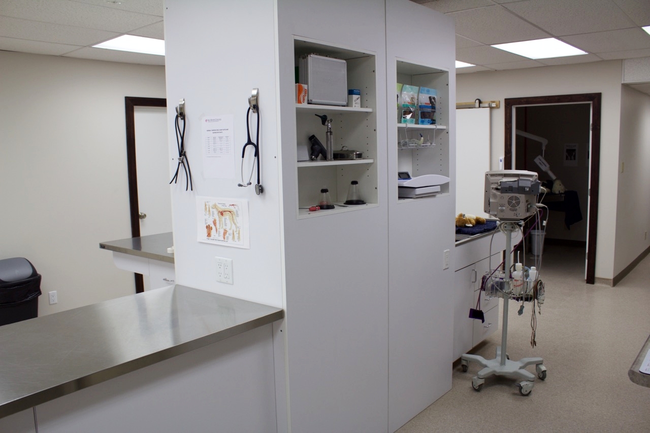 Treatment Area