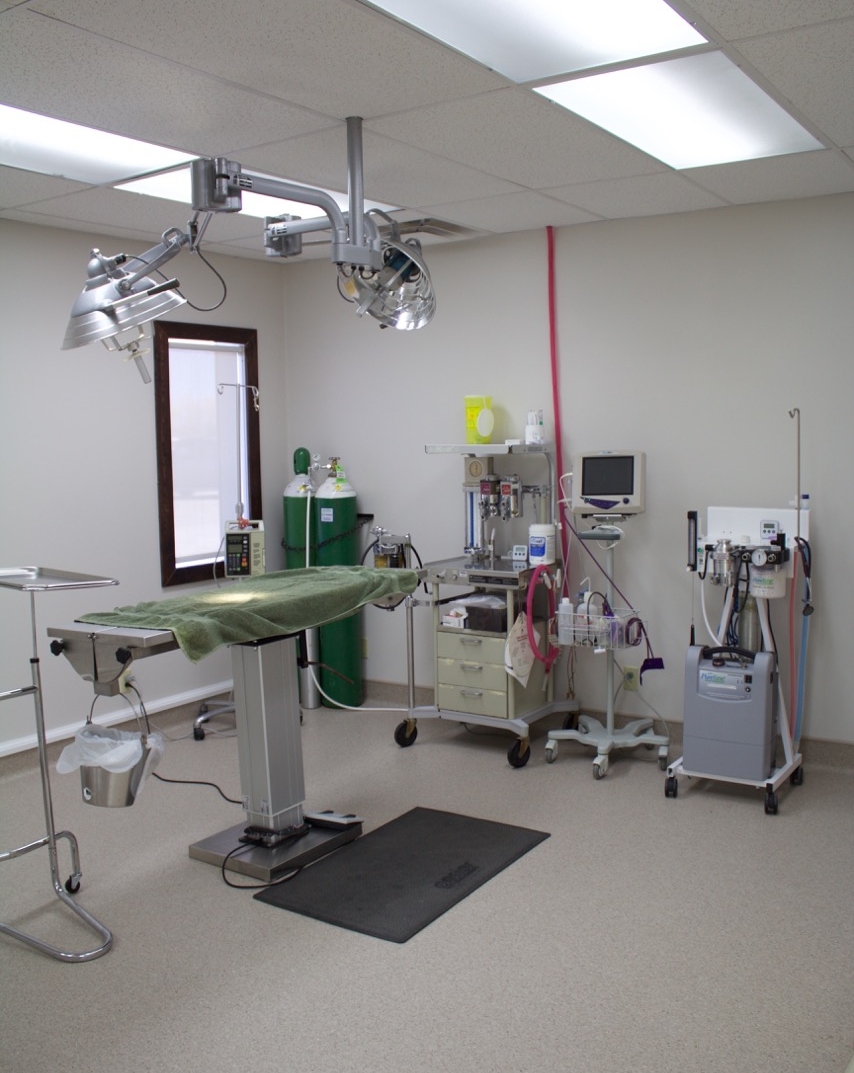 Surgery Suite