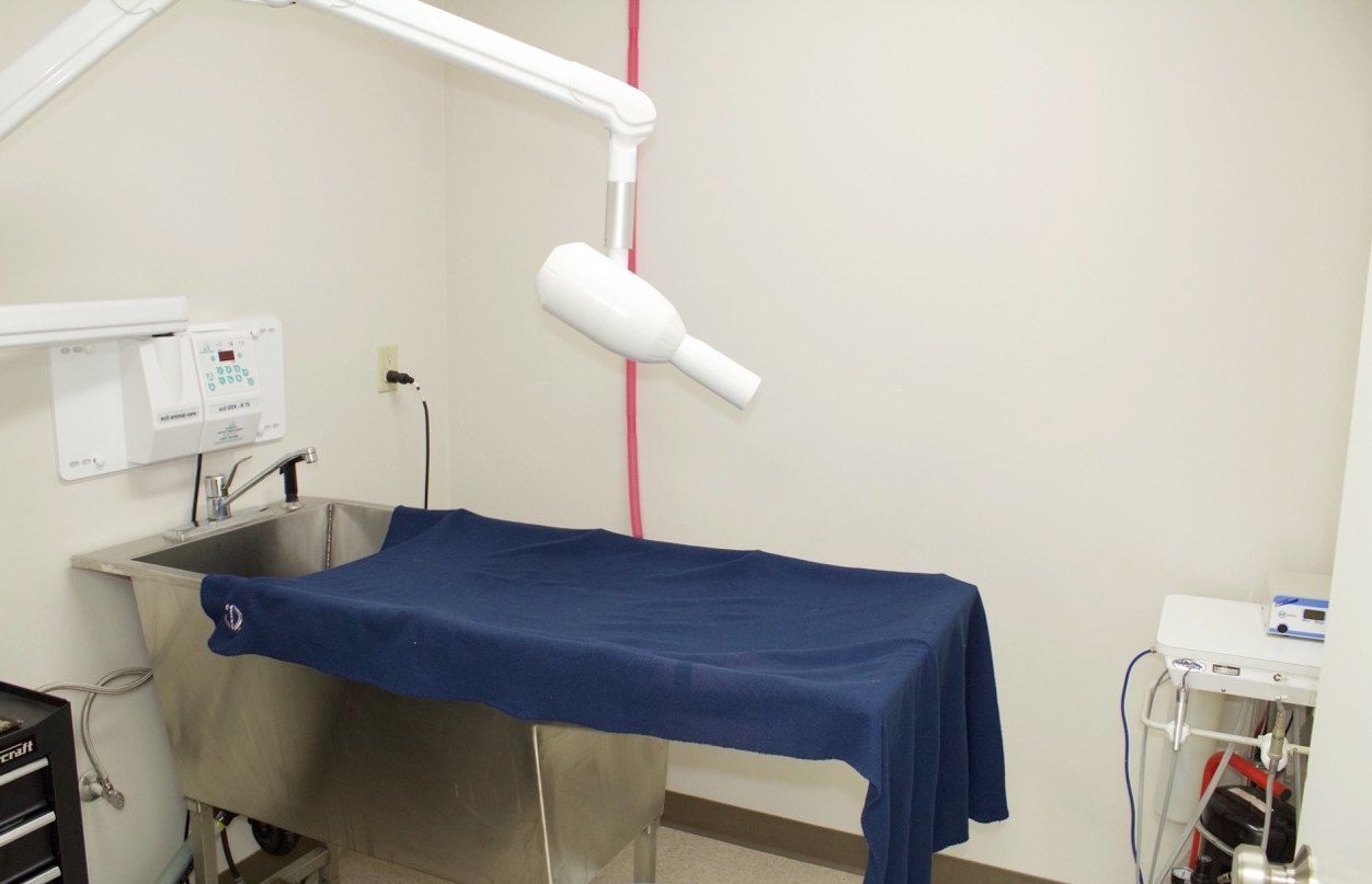 Dental Suite