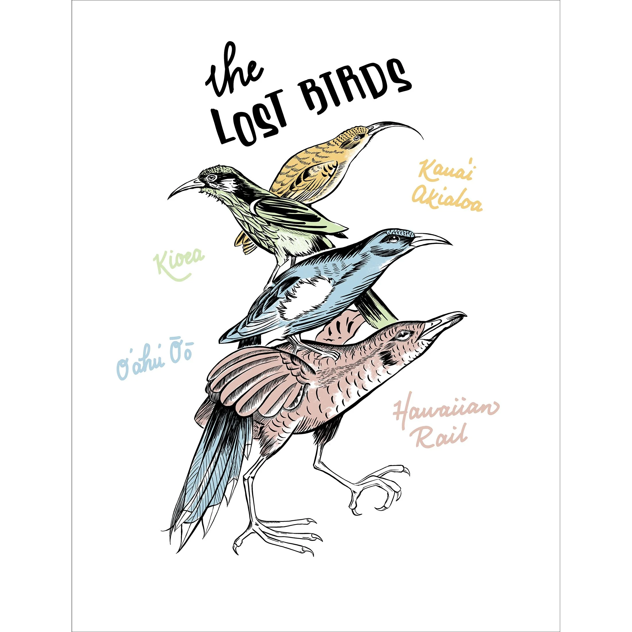 The Lost Birds copy.jpg