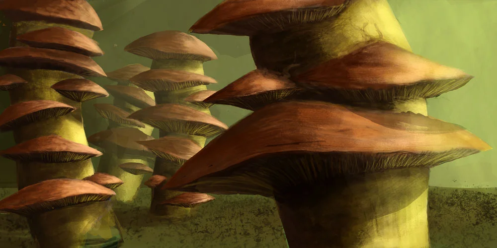 mushrooms.jpg