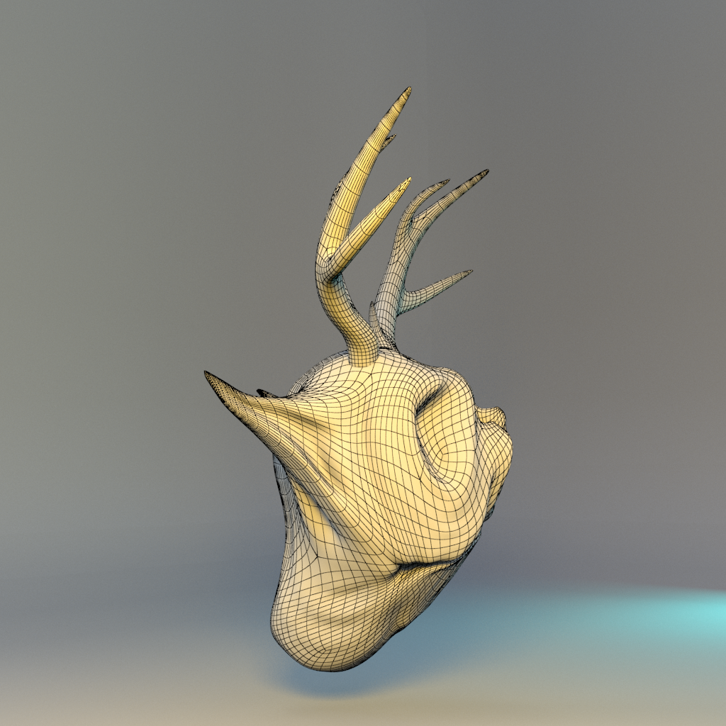 SketchSkulpt_WireFrame_Camera_05.png
