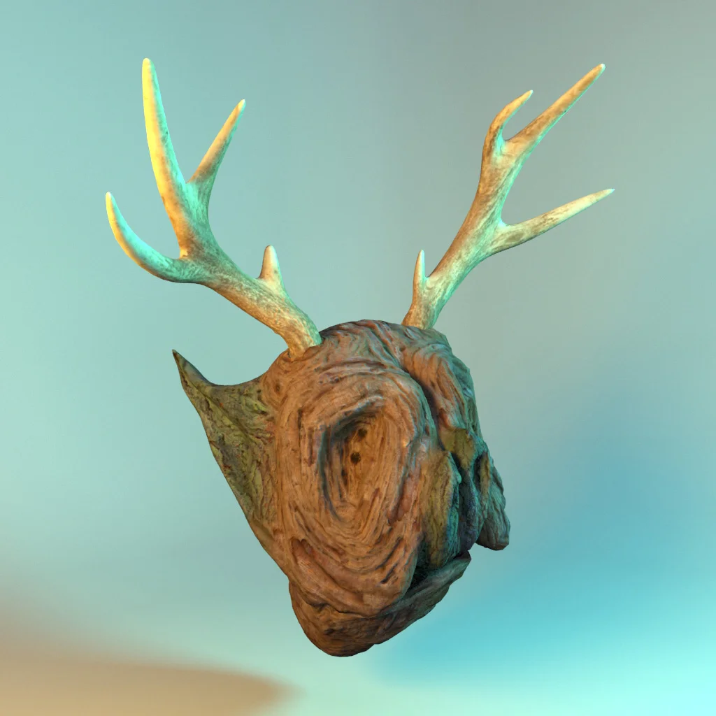 Camera_05.jpg