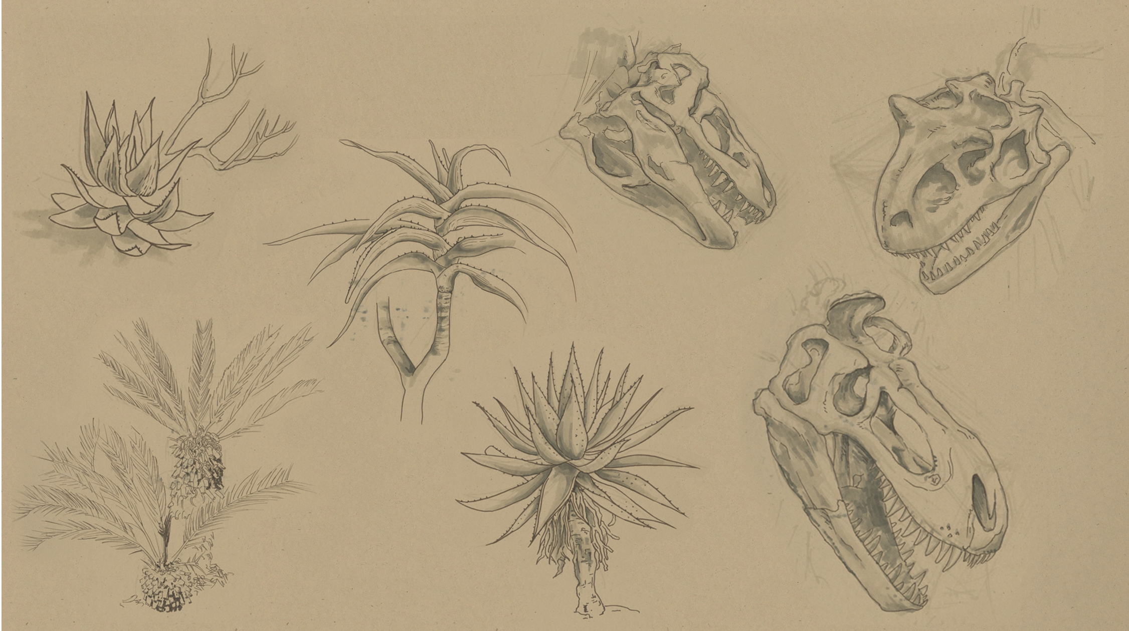 nature sketch web.jpg