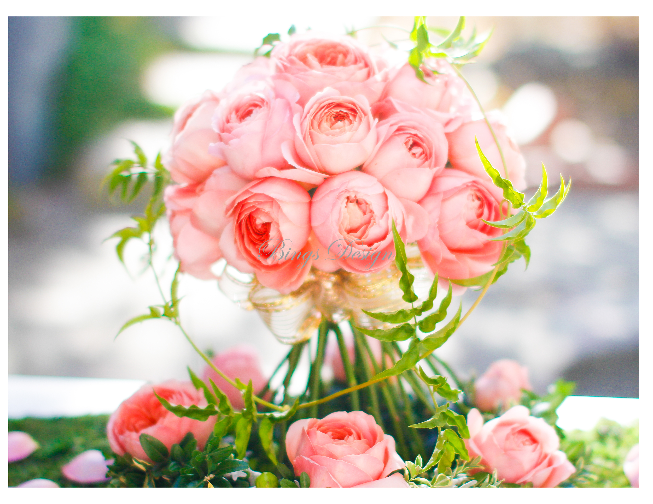 pink garden rose2.jpg