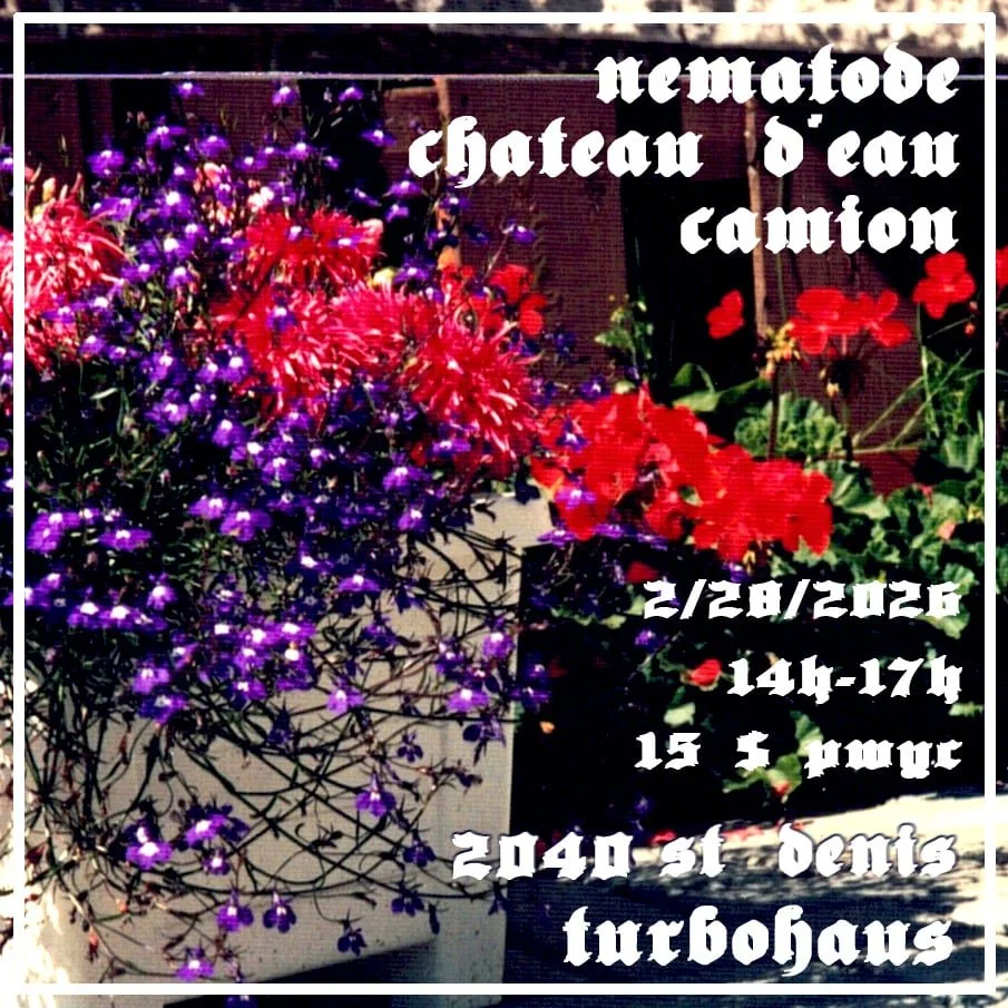 Camion + château d'eau + Nematode