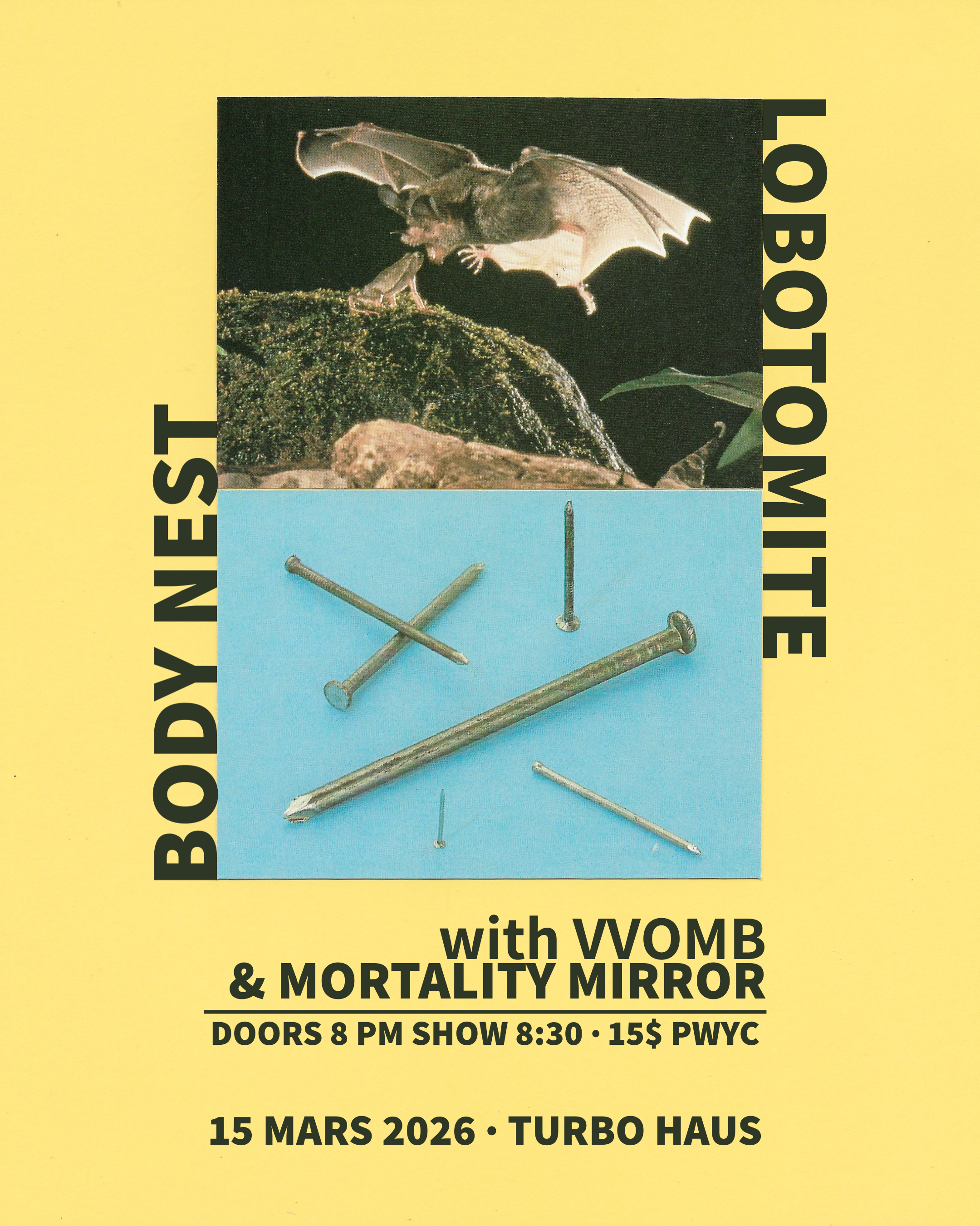 BODY NEST + LOBOTOMITE + VVOMB + MORTALITY MIRROR