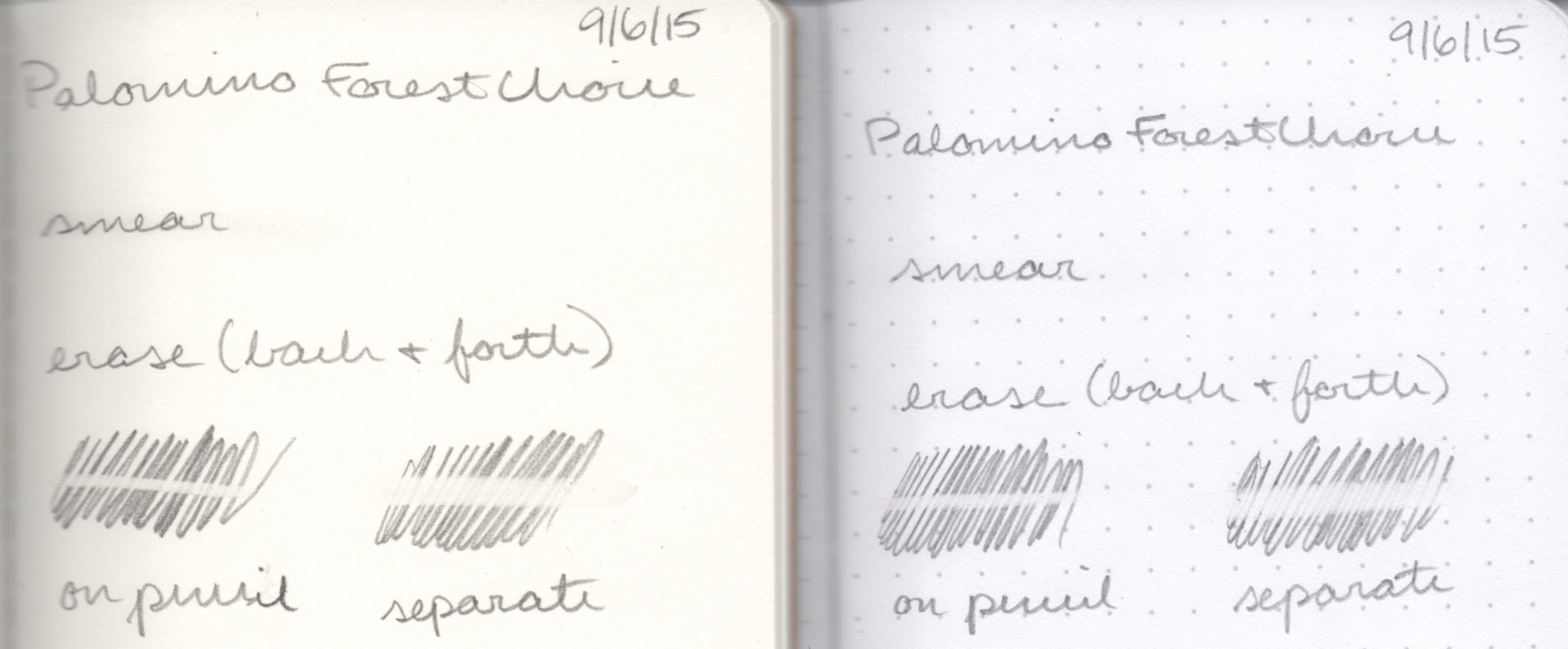 Smearing and erasing on ForestChoice notebook (left) and Field Notes Pitch Black (right).