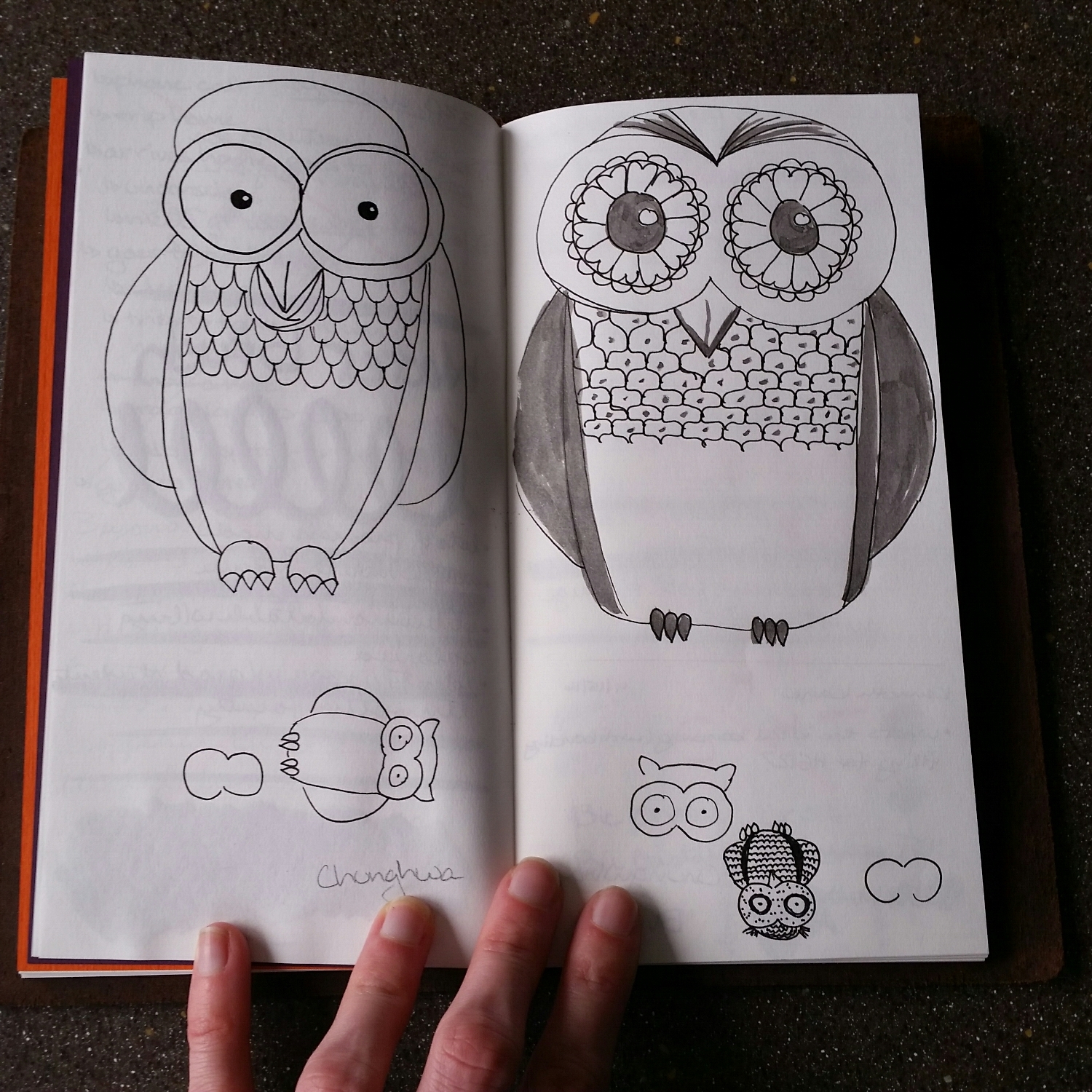 I really do draw a lot of owls. They aren't all winners