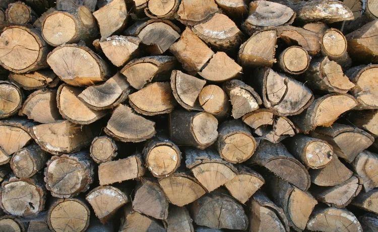 firewood-02.jpg