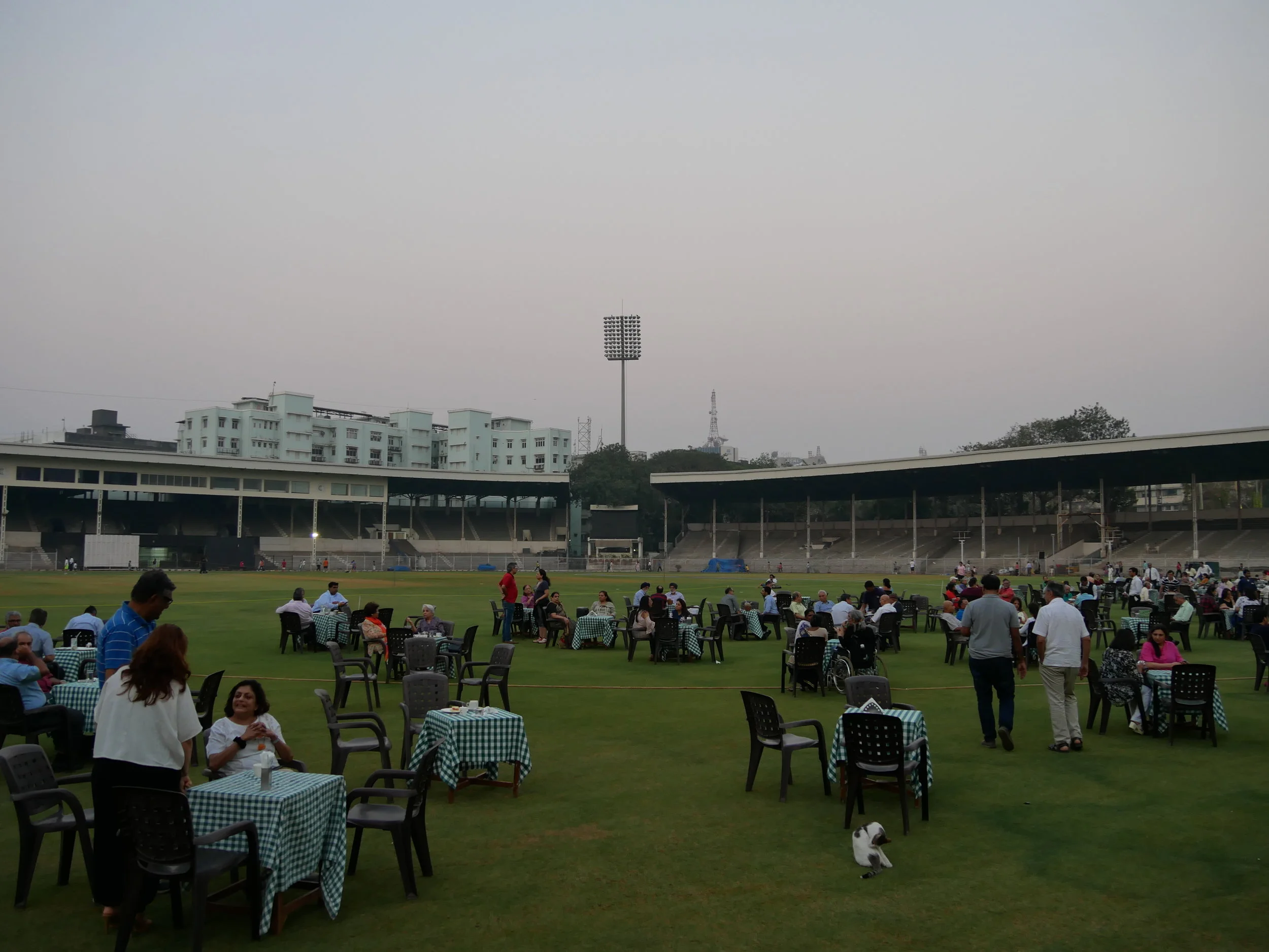 Having drinks and snacks on the lawn