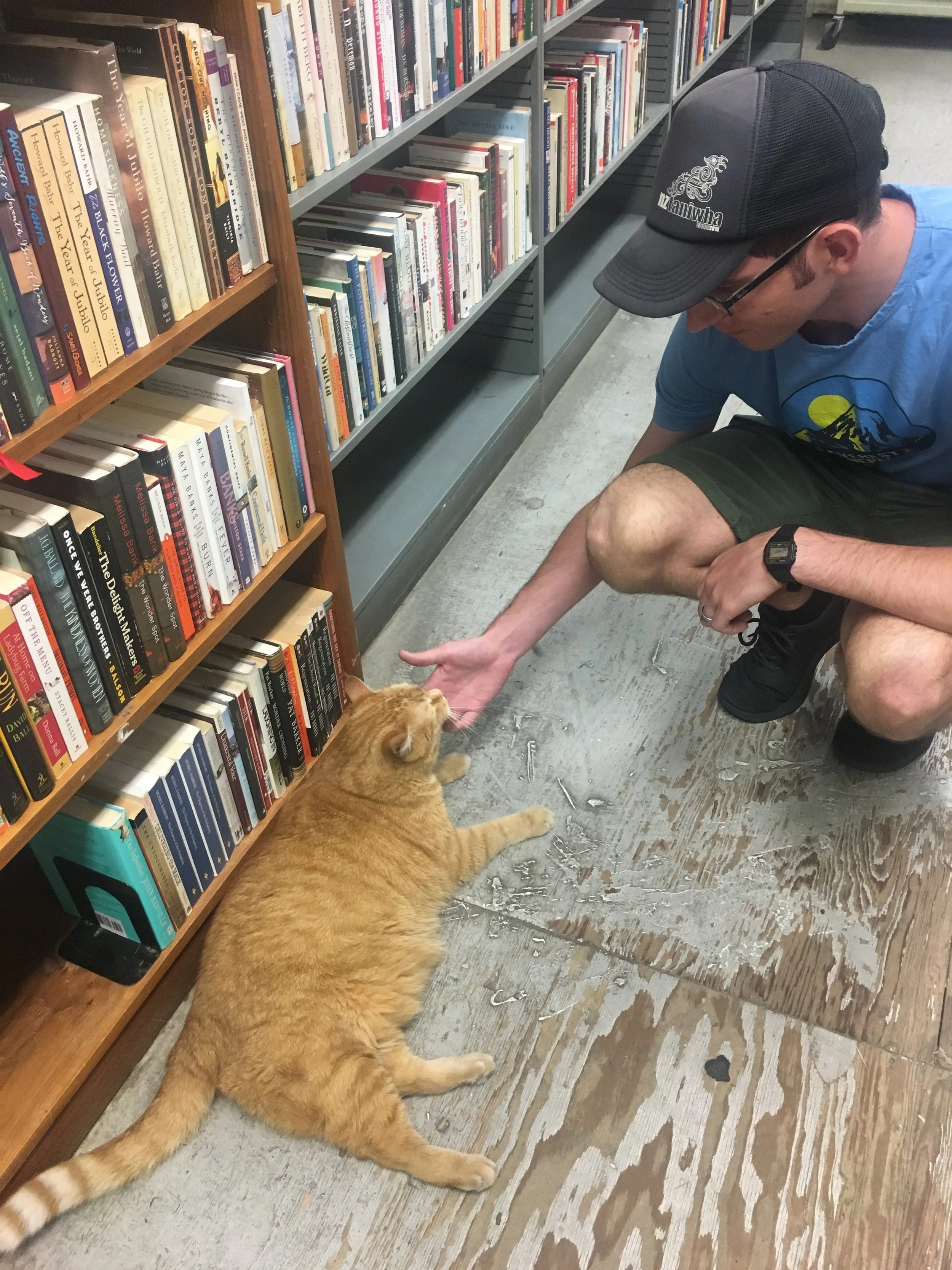 No photos from the Barnes Foundation, so here's a photo of Zev making friends with a tubby cat from a nearby bookstore