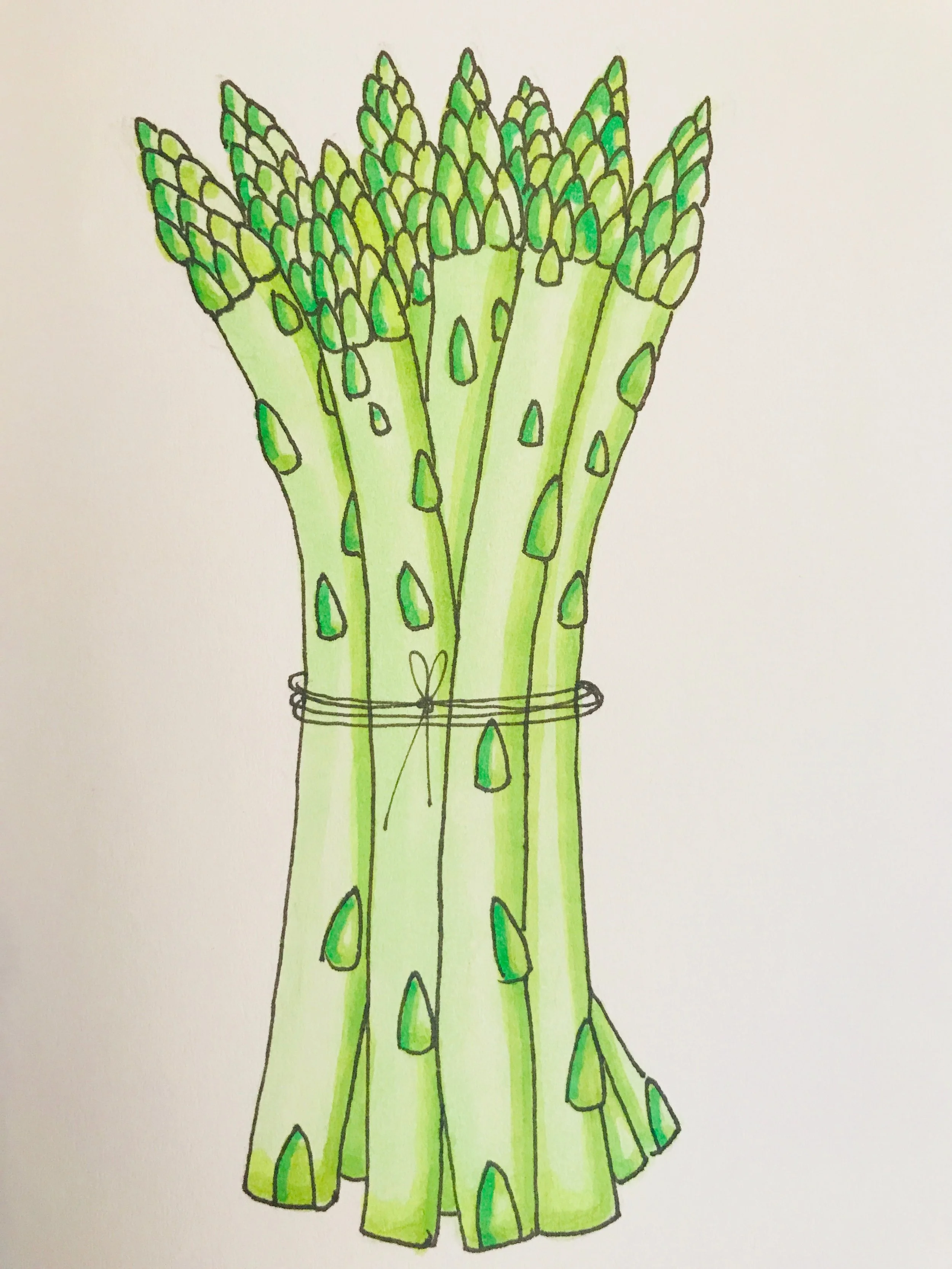 Asparagus, Healthy Food Illustrations for Heidi Zwart
