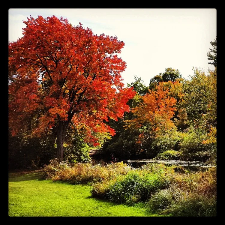 Lake Waban 1