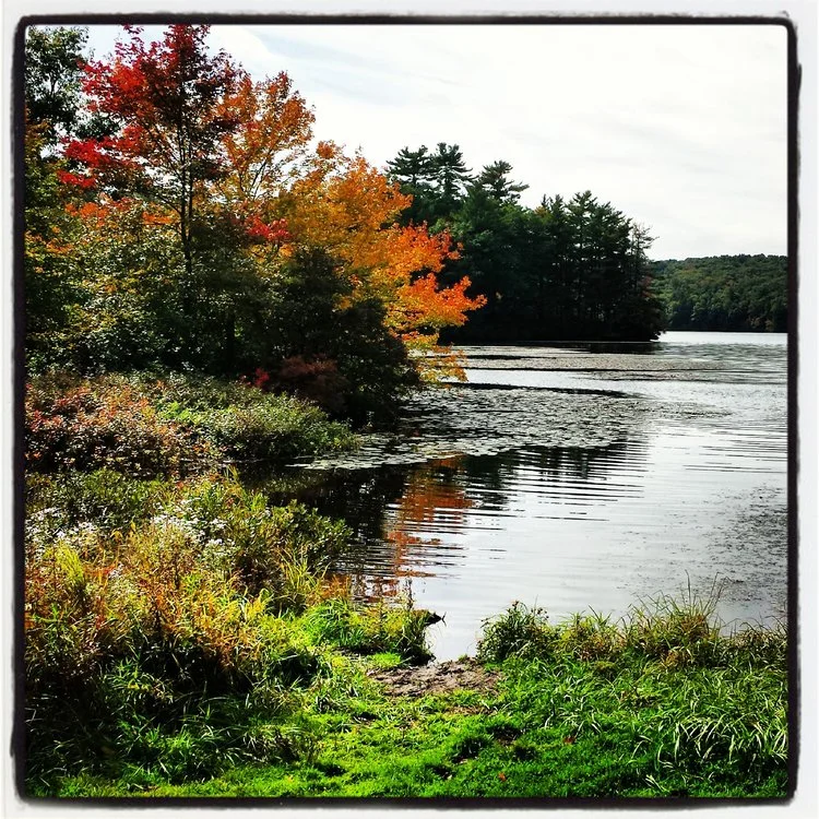 Lake Waban 2