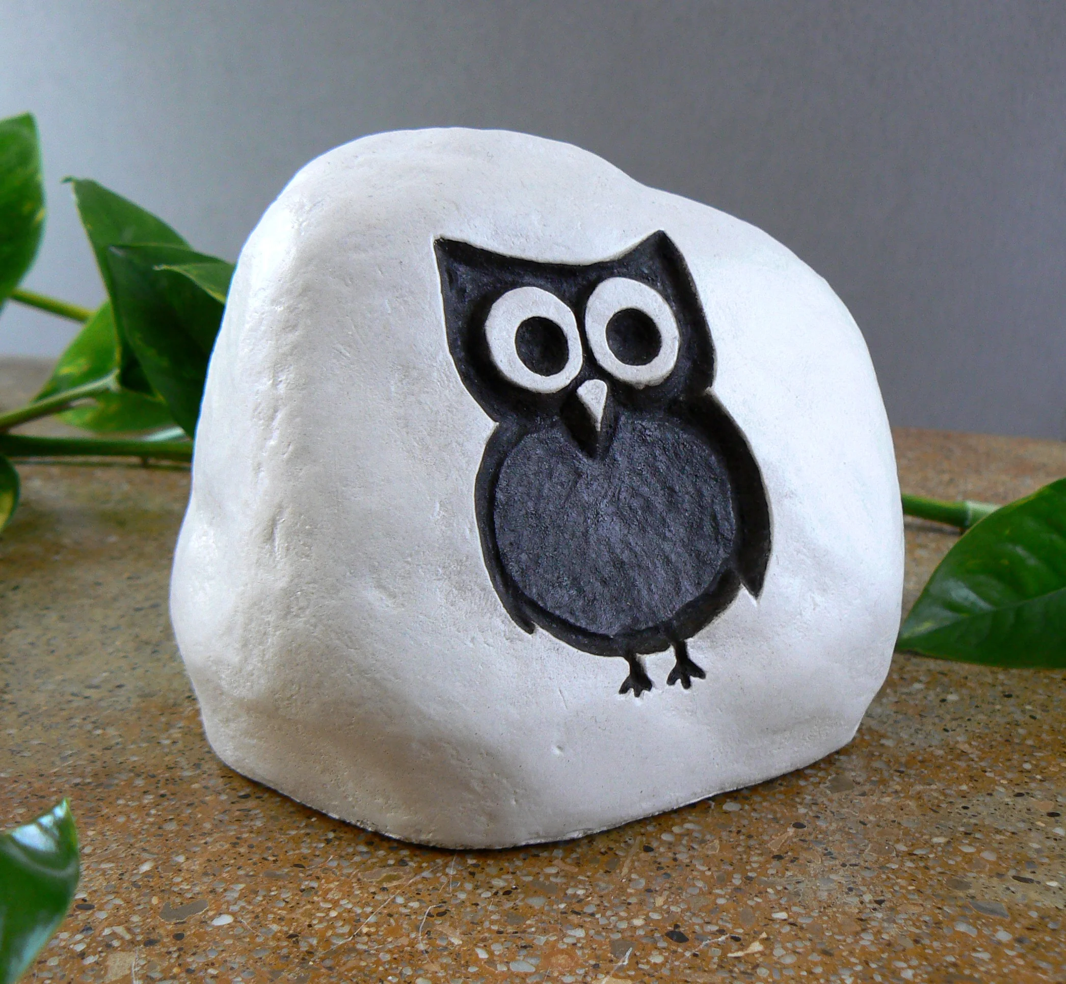 Owl pothos gray back.JPG