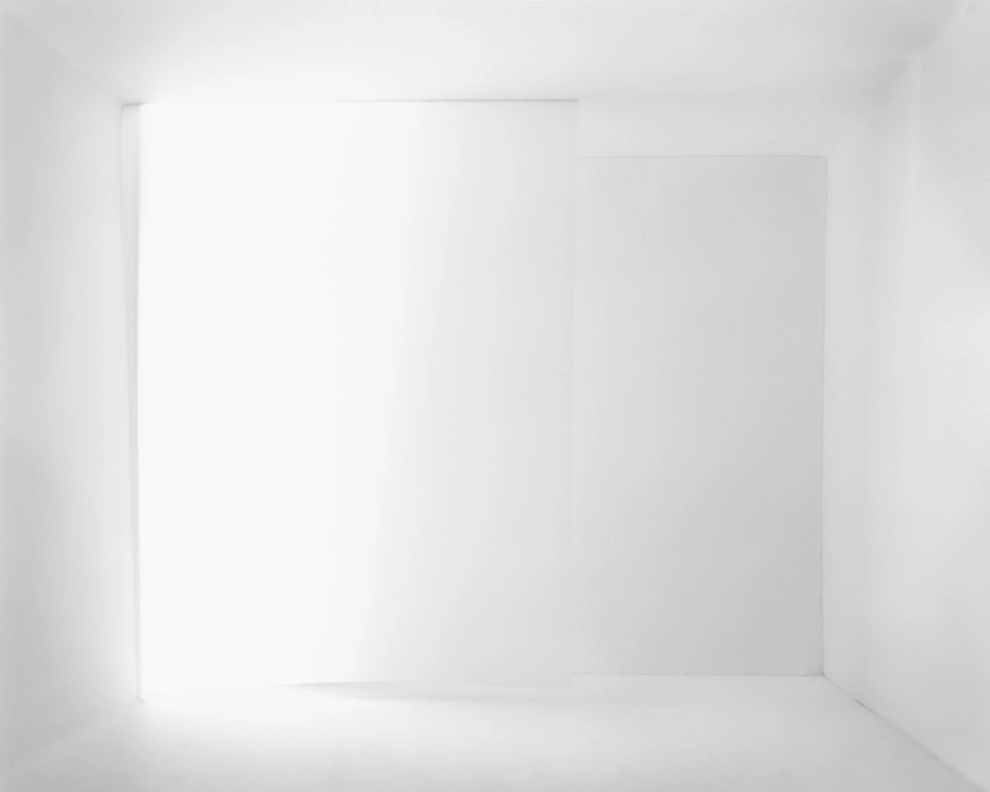 white_01.jpg