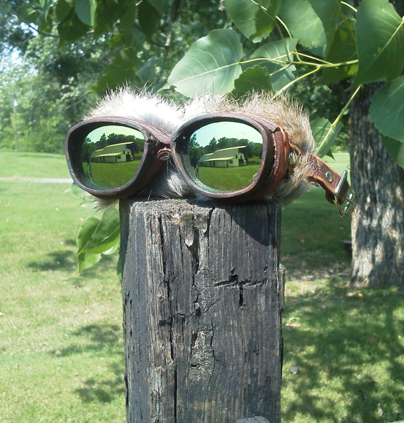 goggles large.jpeg