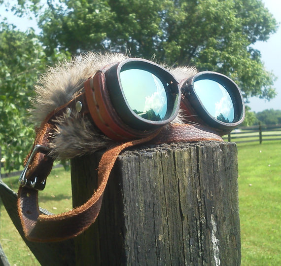 goggles larger.jpeg