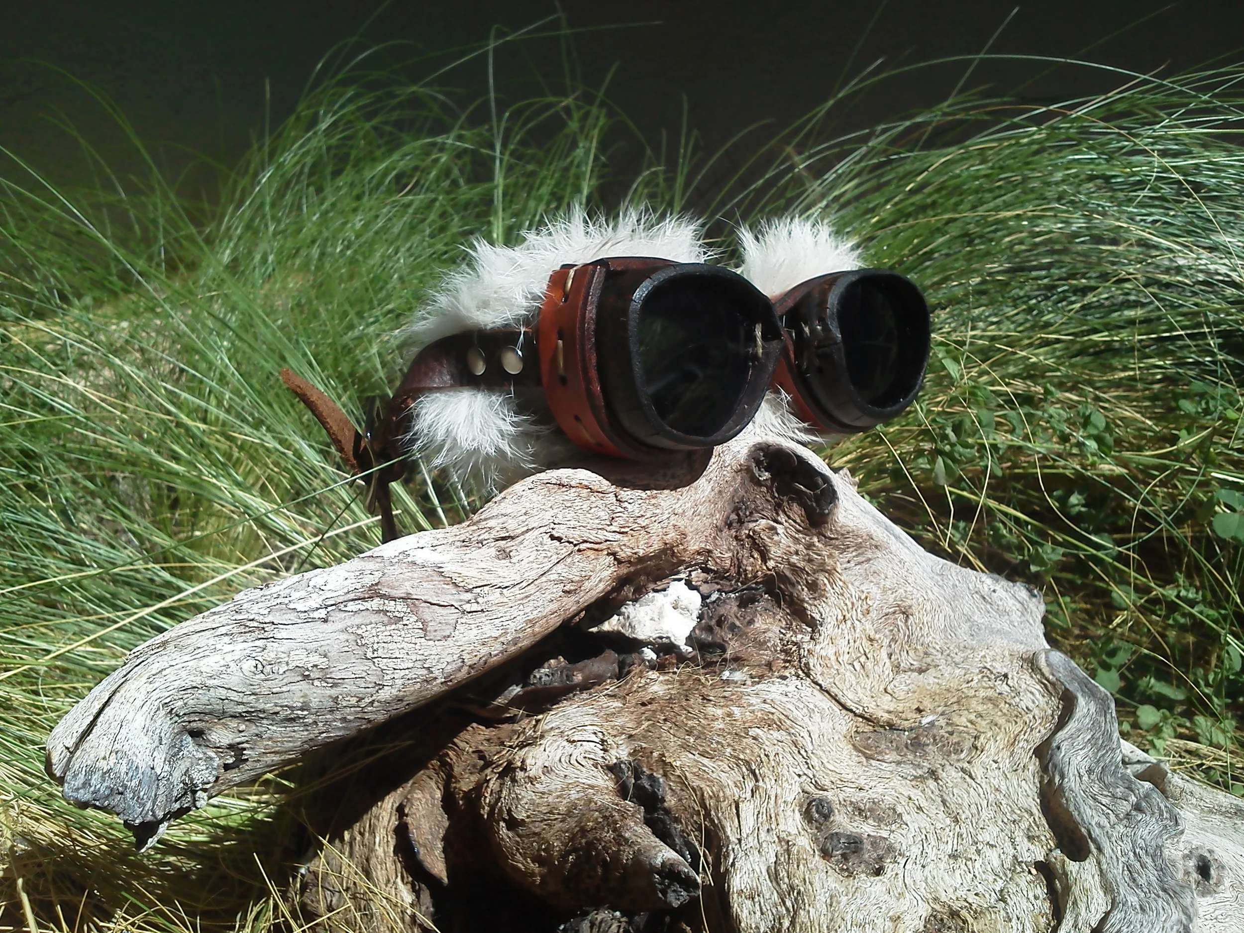 goggles.jpg