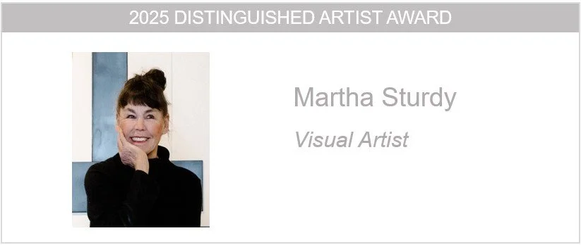 Web banner Sturdy 1.jpg