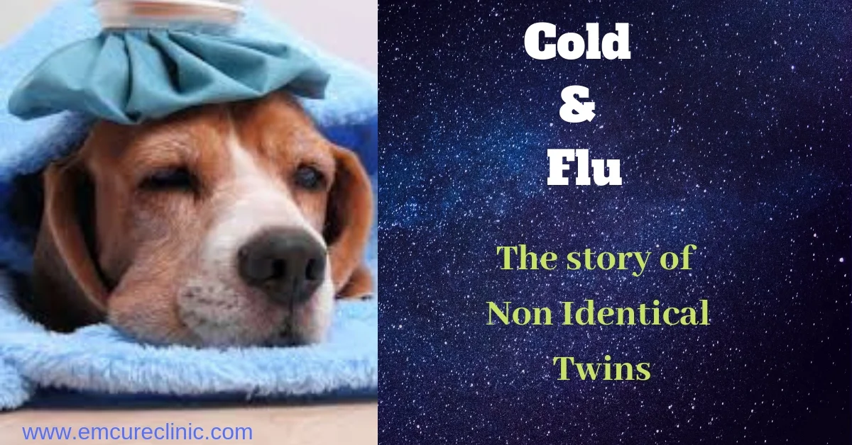 FLU and COlD : The Story of Non identical Twins